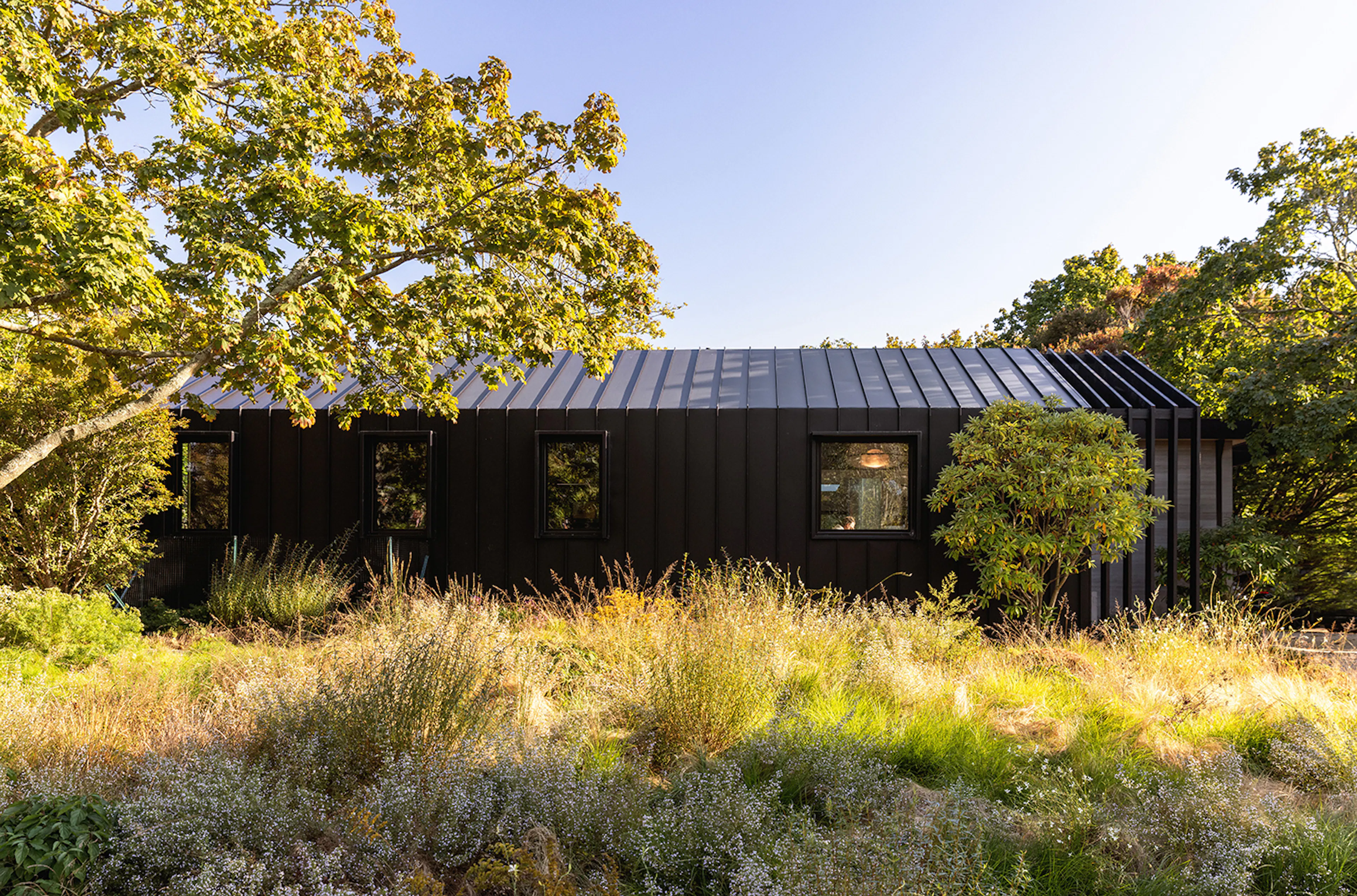 Bridgehampton Native