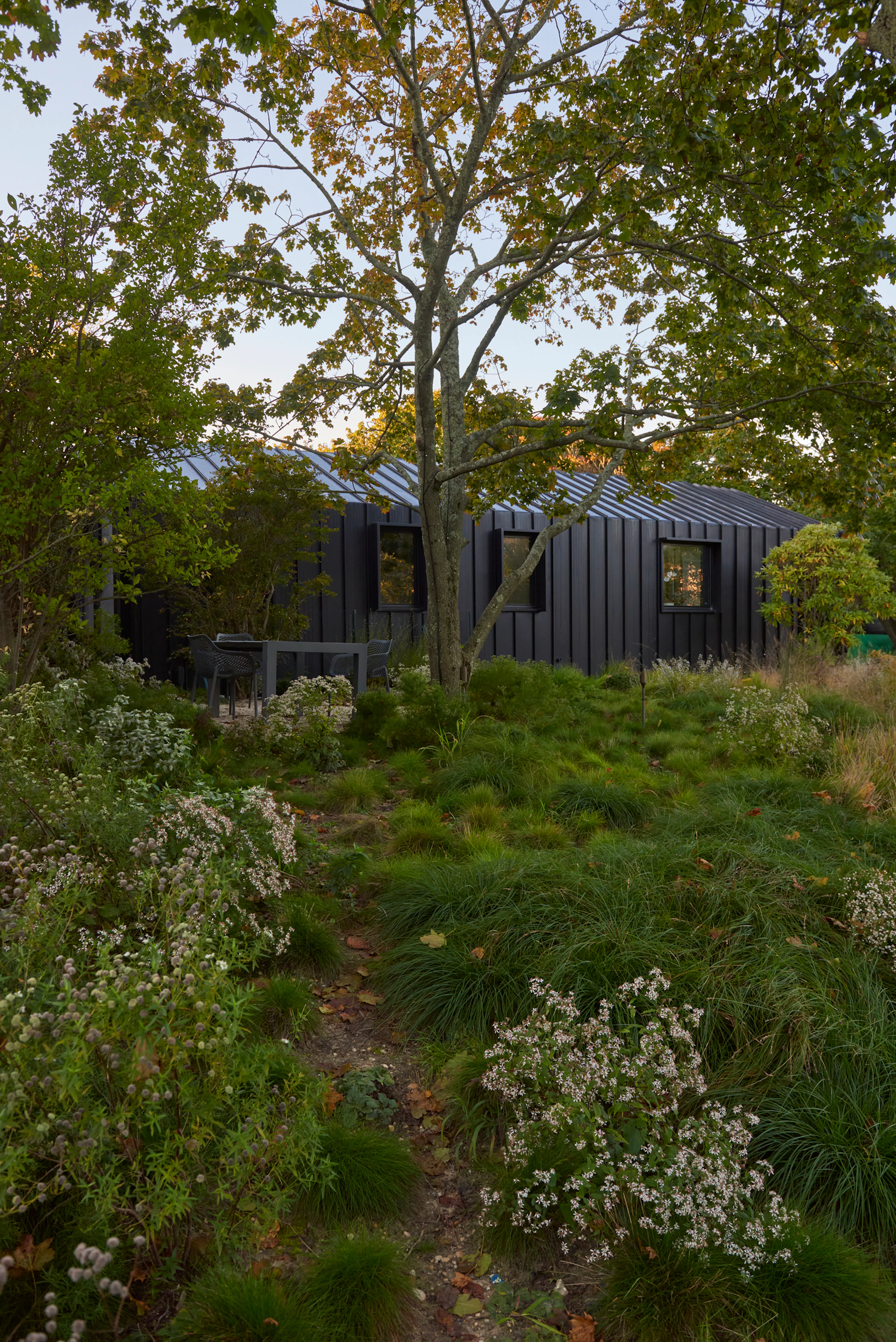 Bridgehampton Native — 3