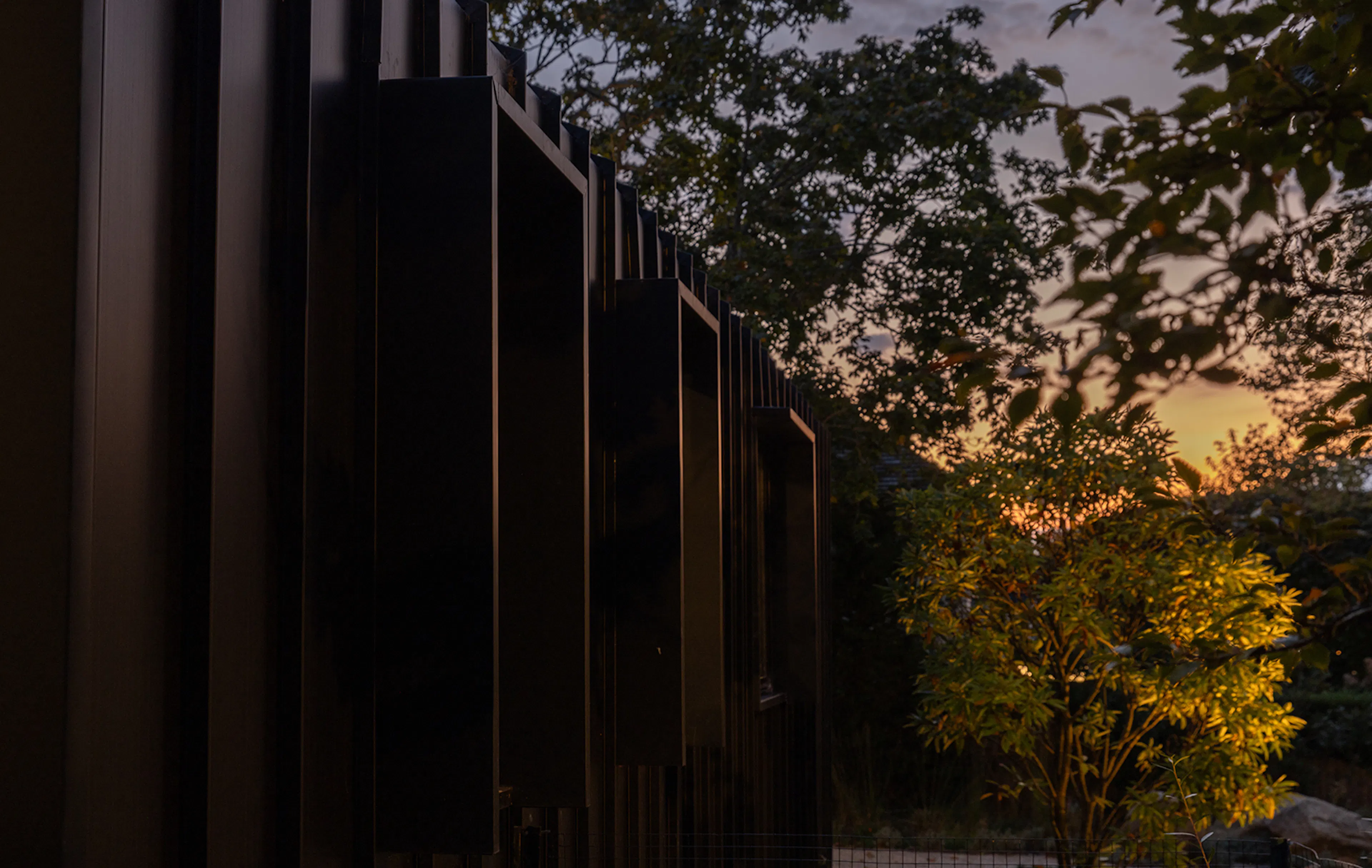 Bridgehampton Native — 6