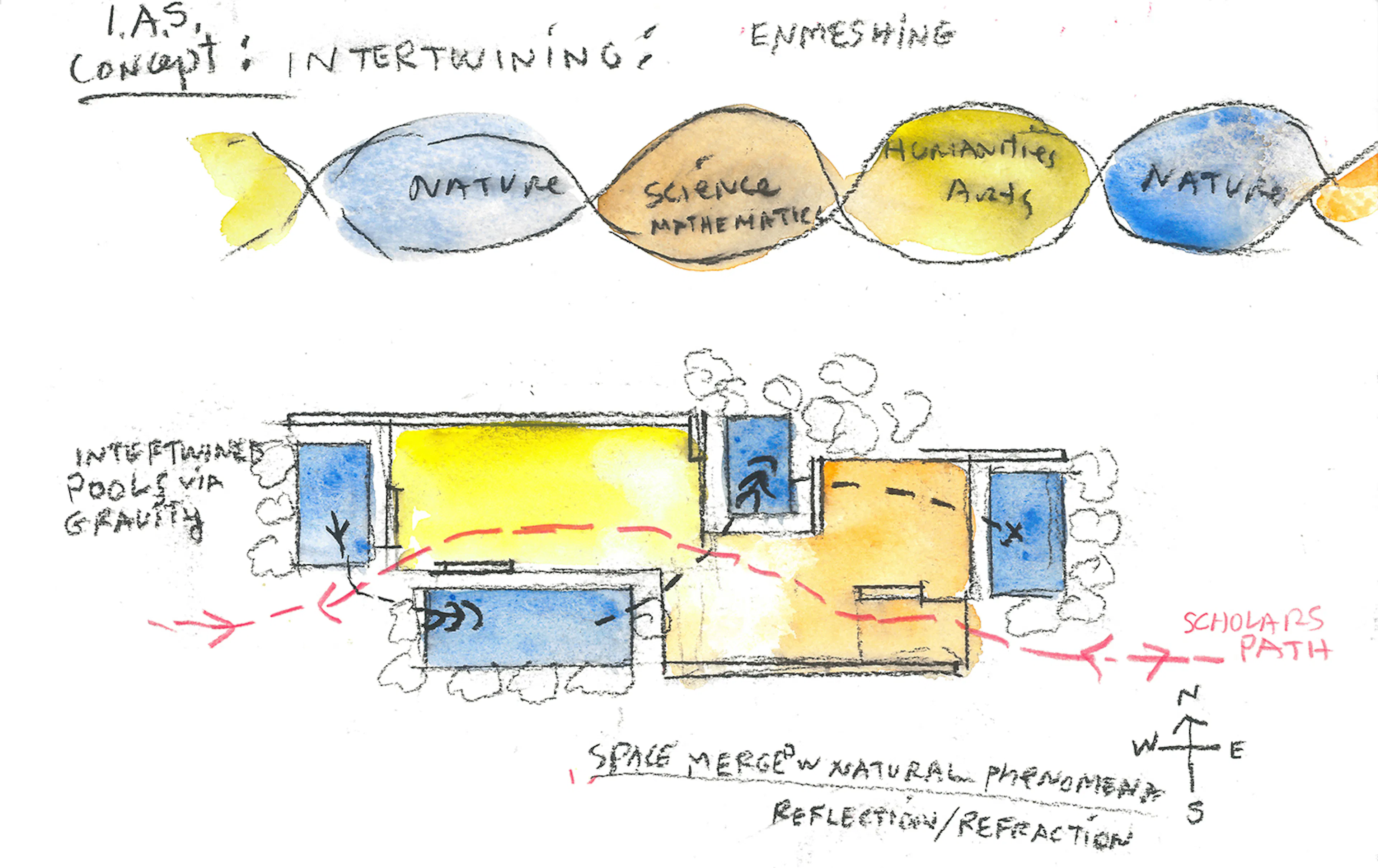 Rubenstein Commons, Institute for Advanced Study — 9