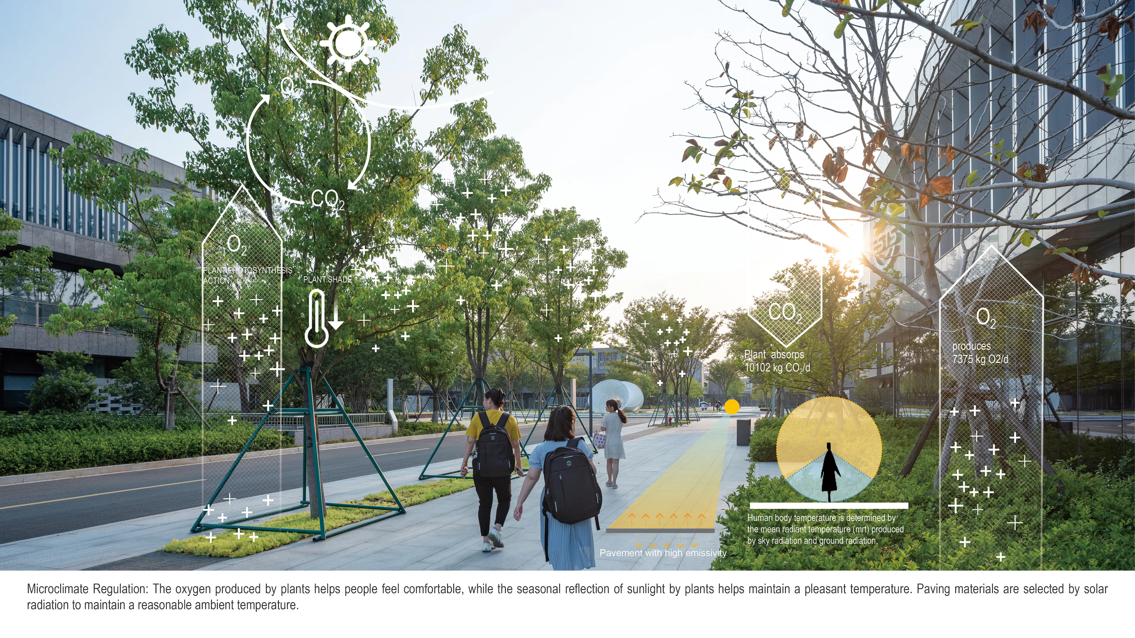 North Office Park of Zhejiang University International Campus in Haining — 11