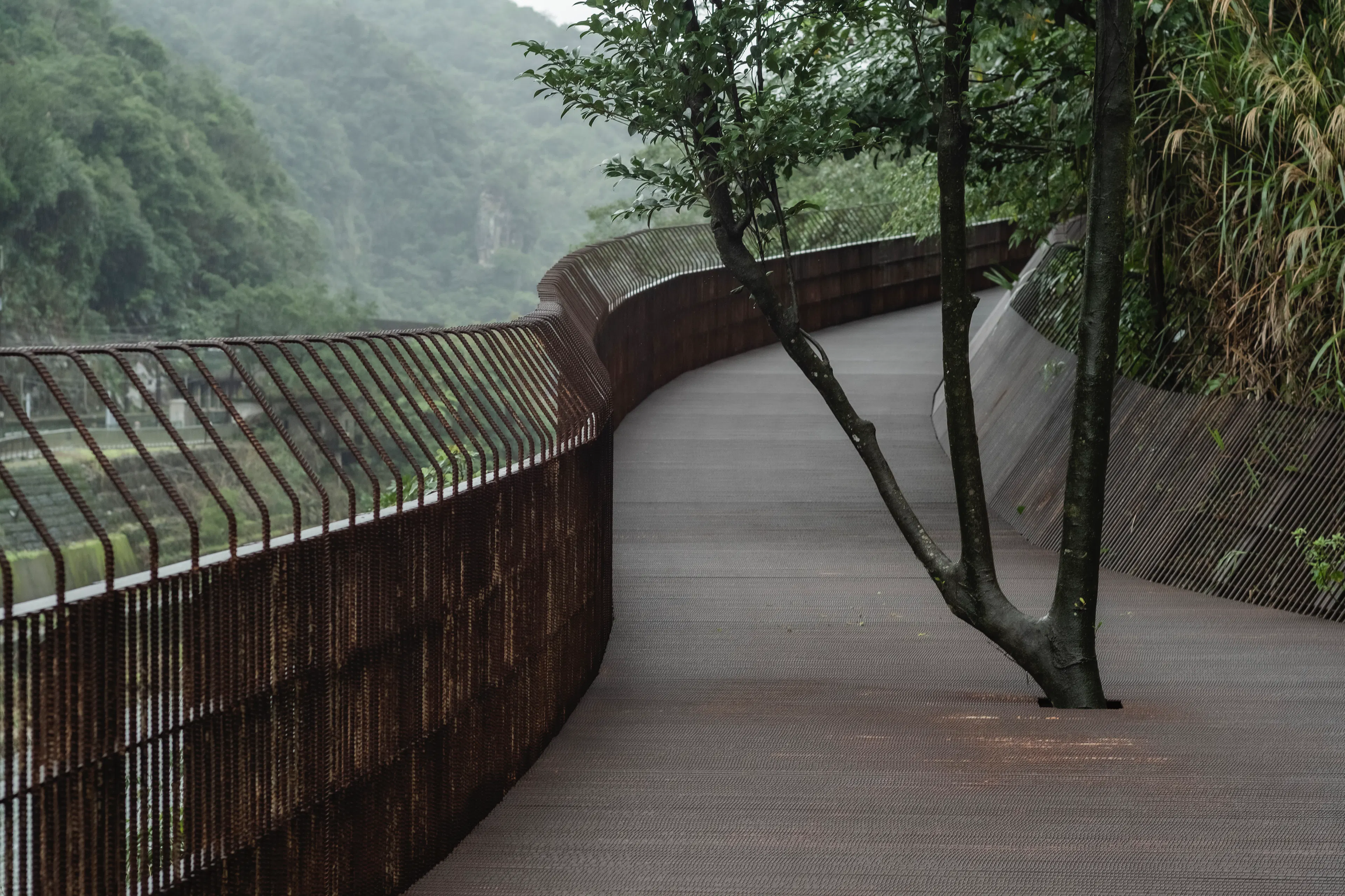 The Dark Line — 10