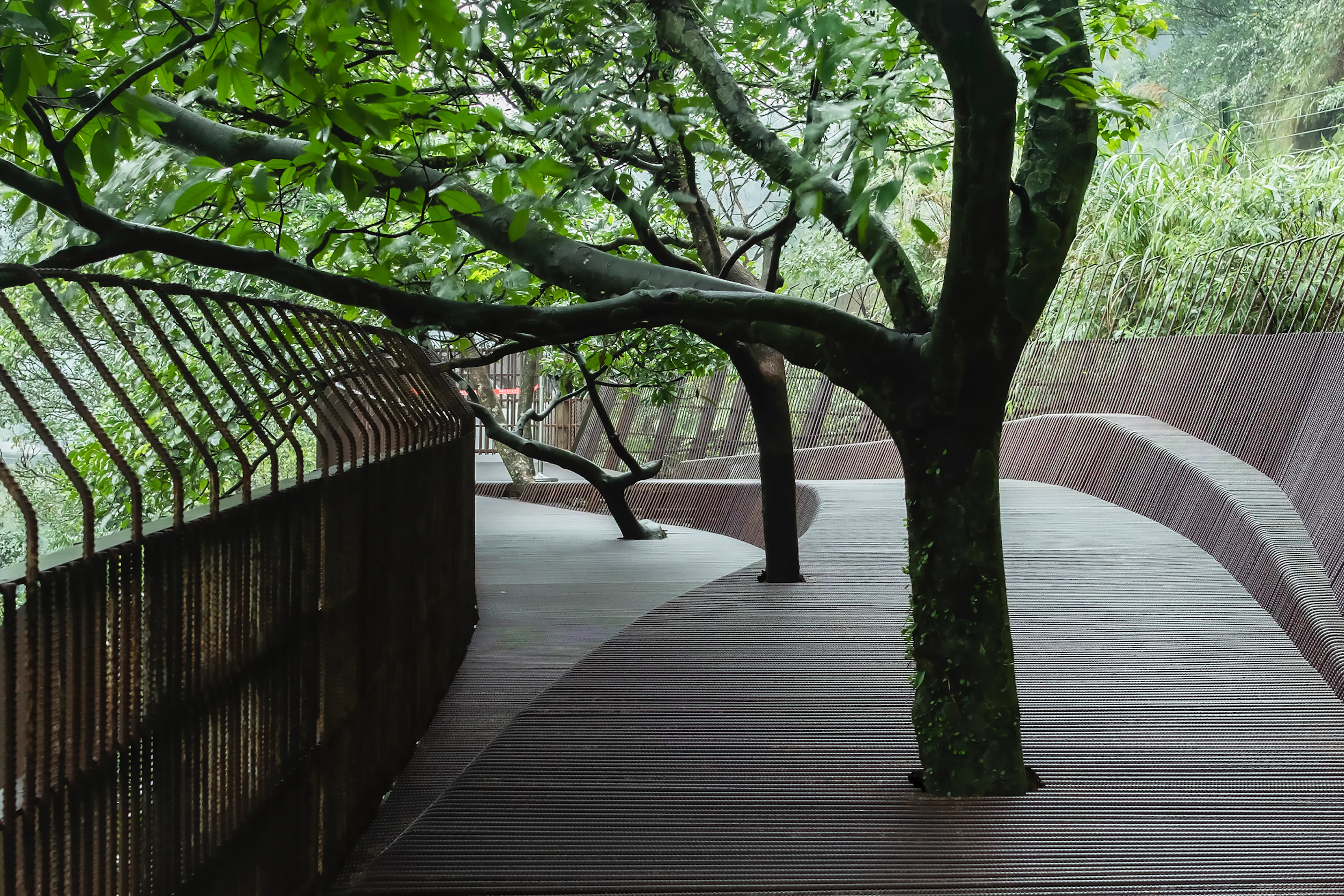 The Dark Line — 11