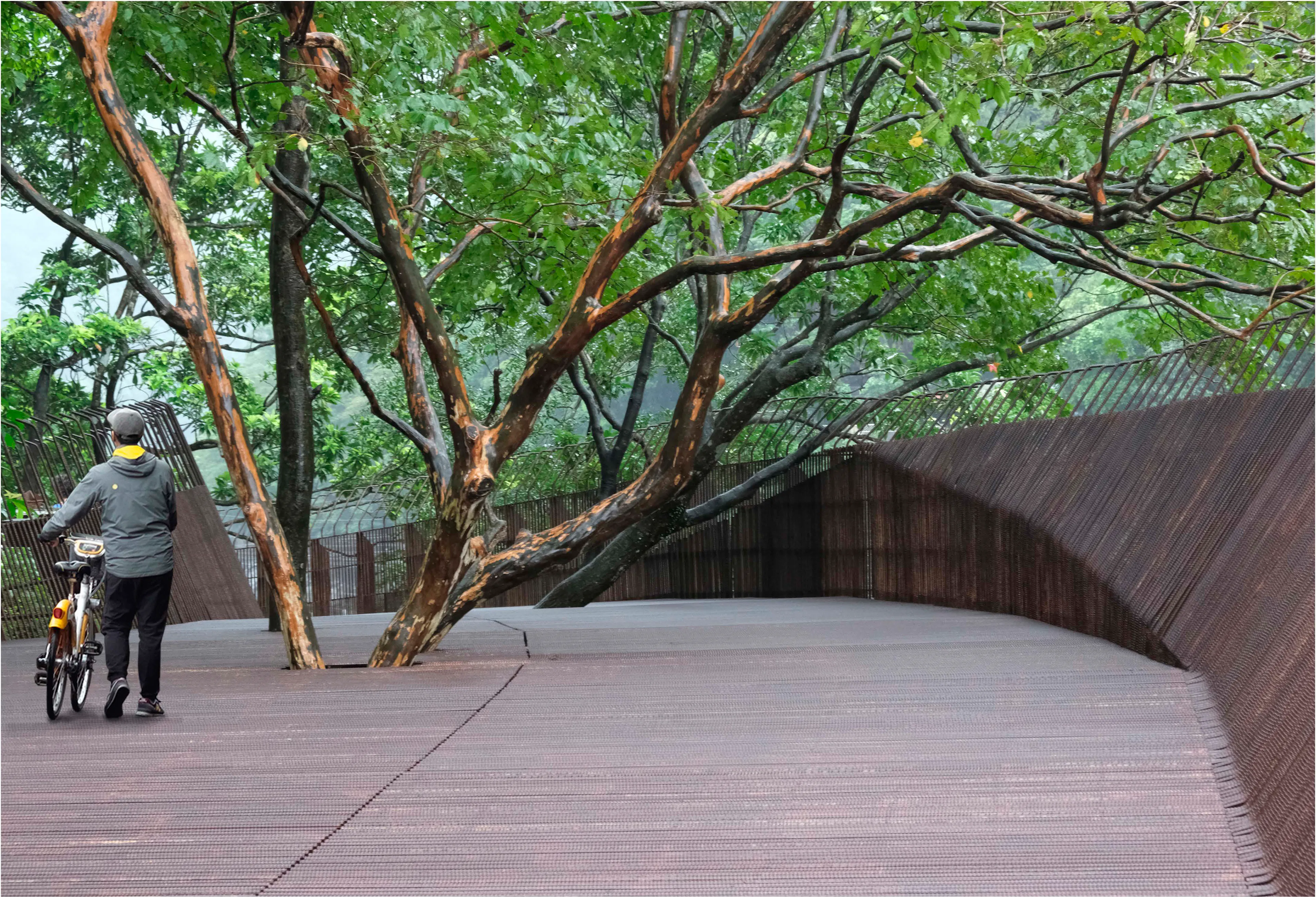 The Dark Line — 15