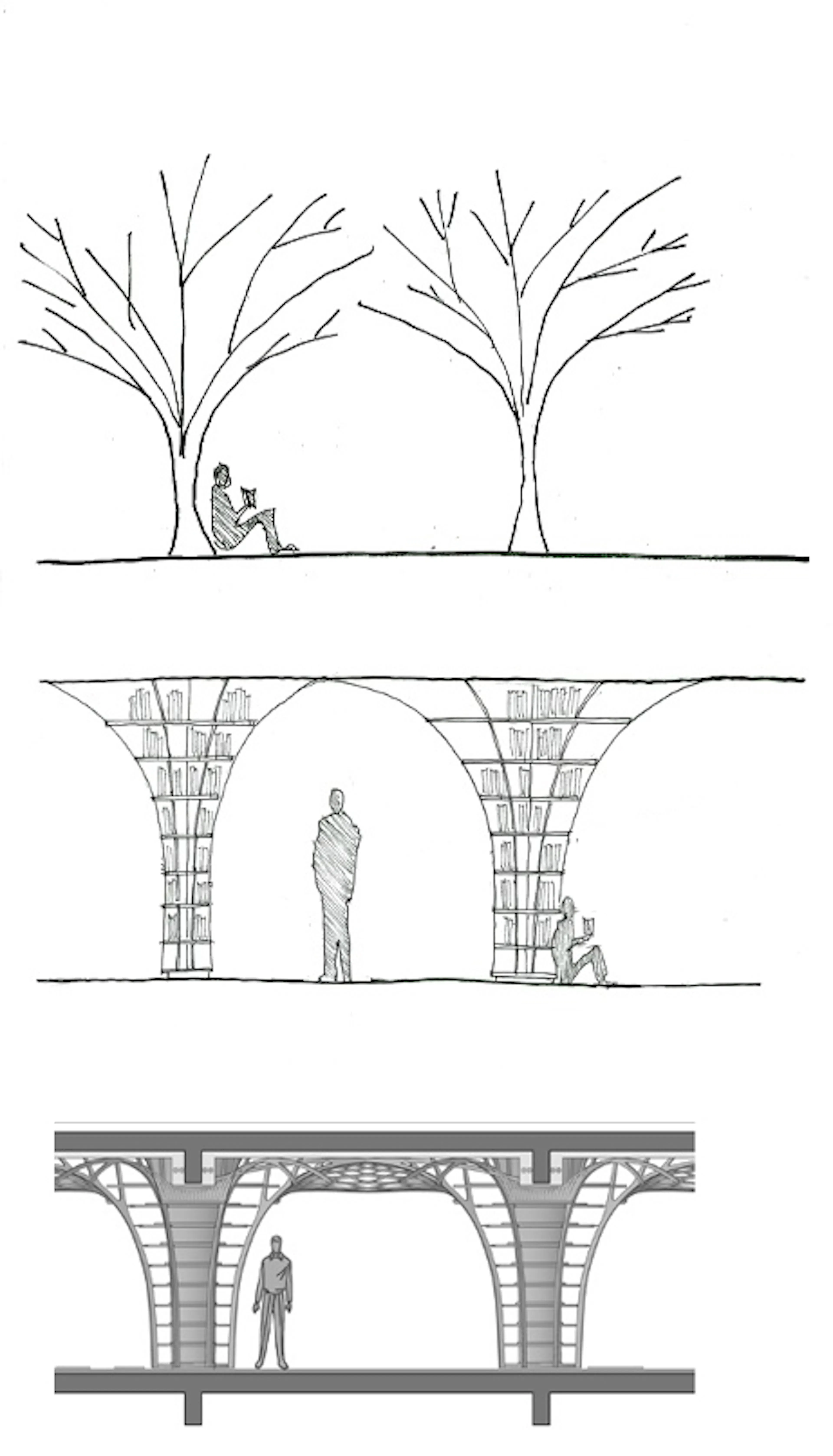 The Forest of Knowledge — 27