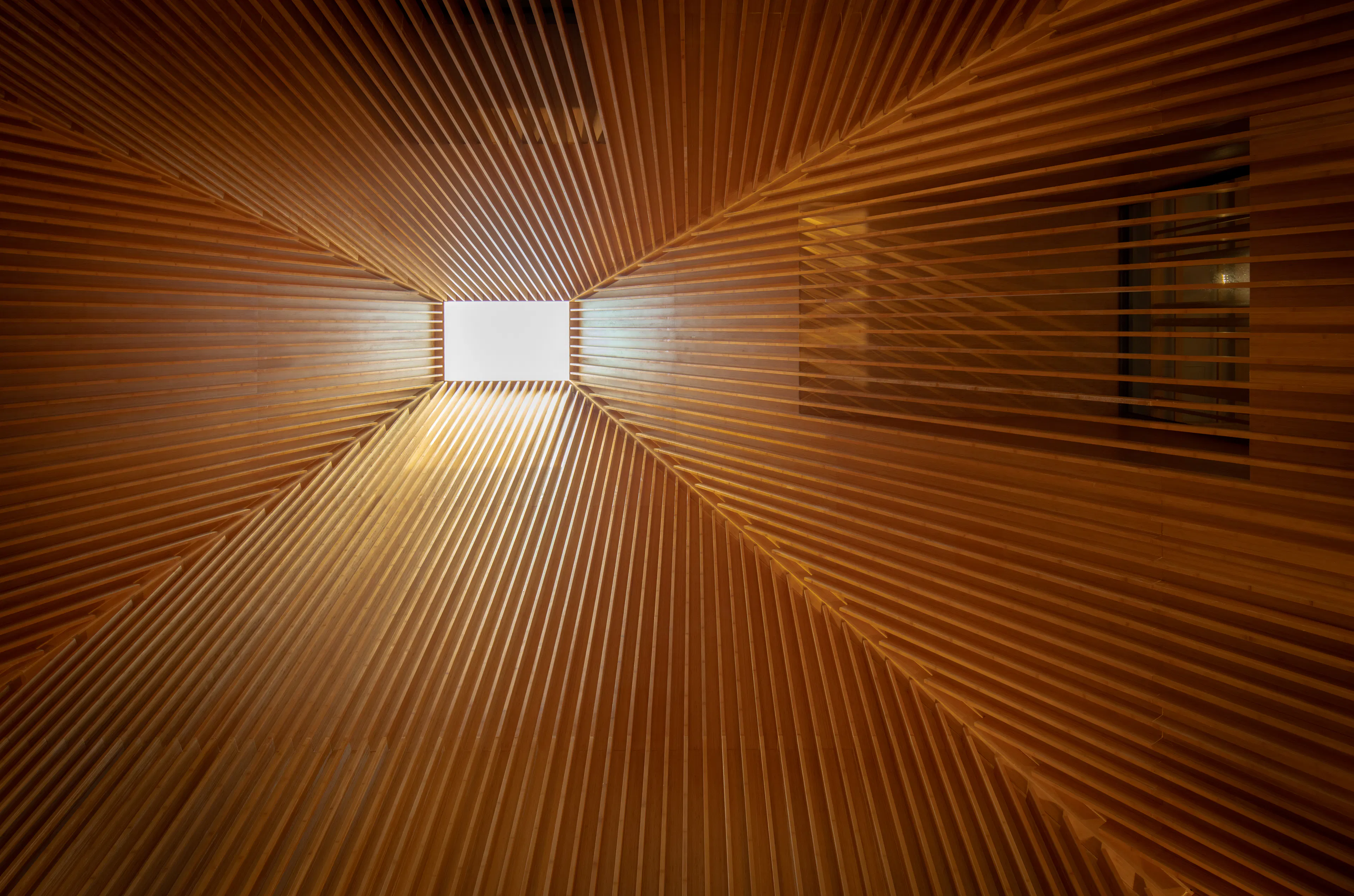 WWF Peter Scott Visitor Centre — 3