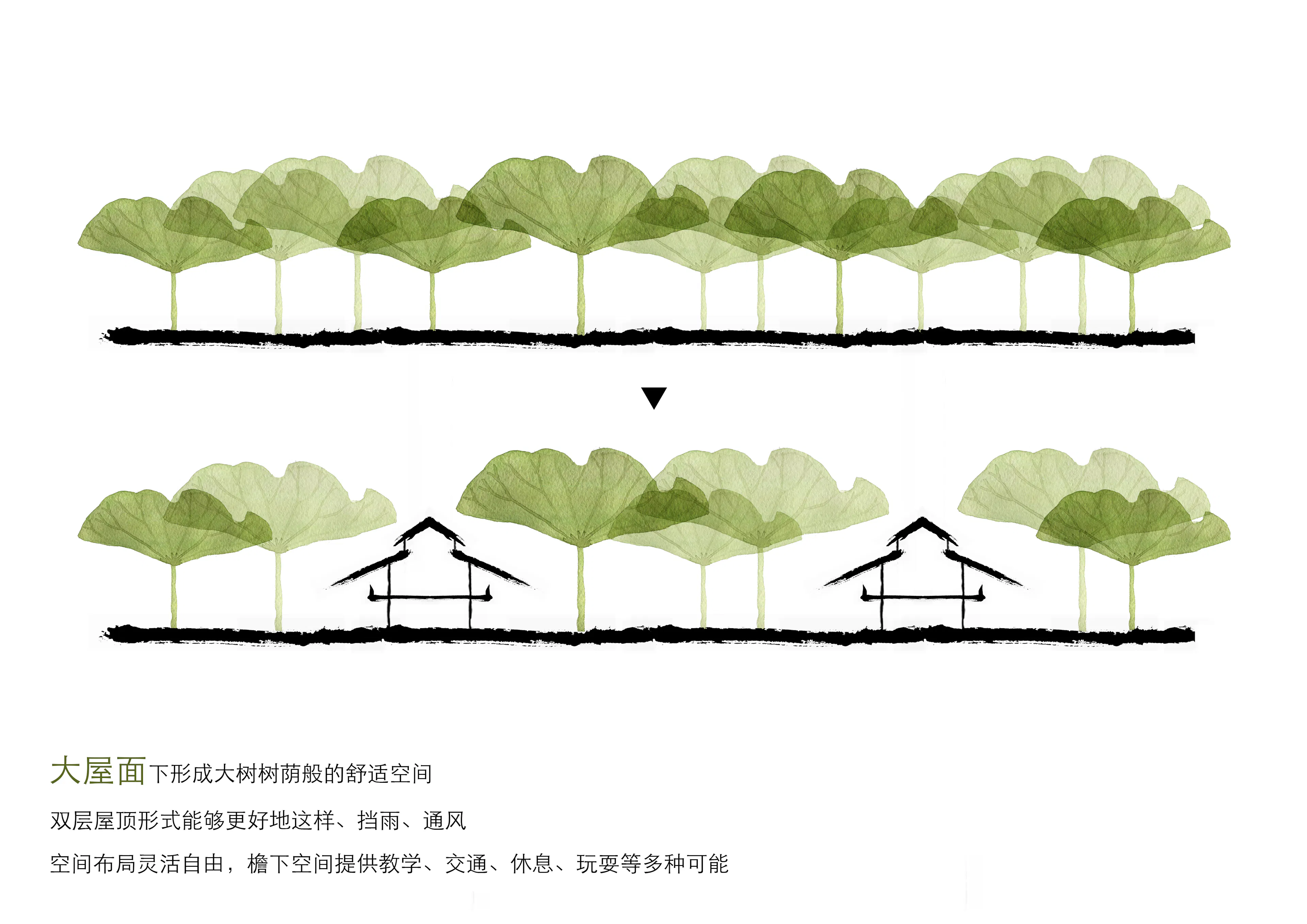 LYCEUM School — 21