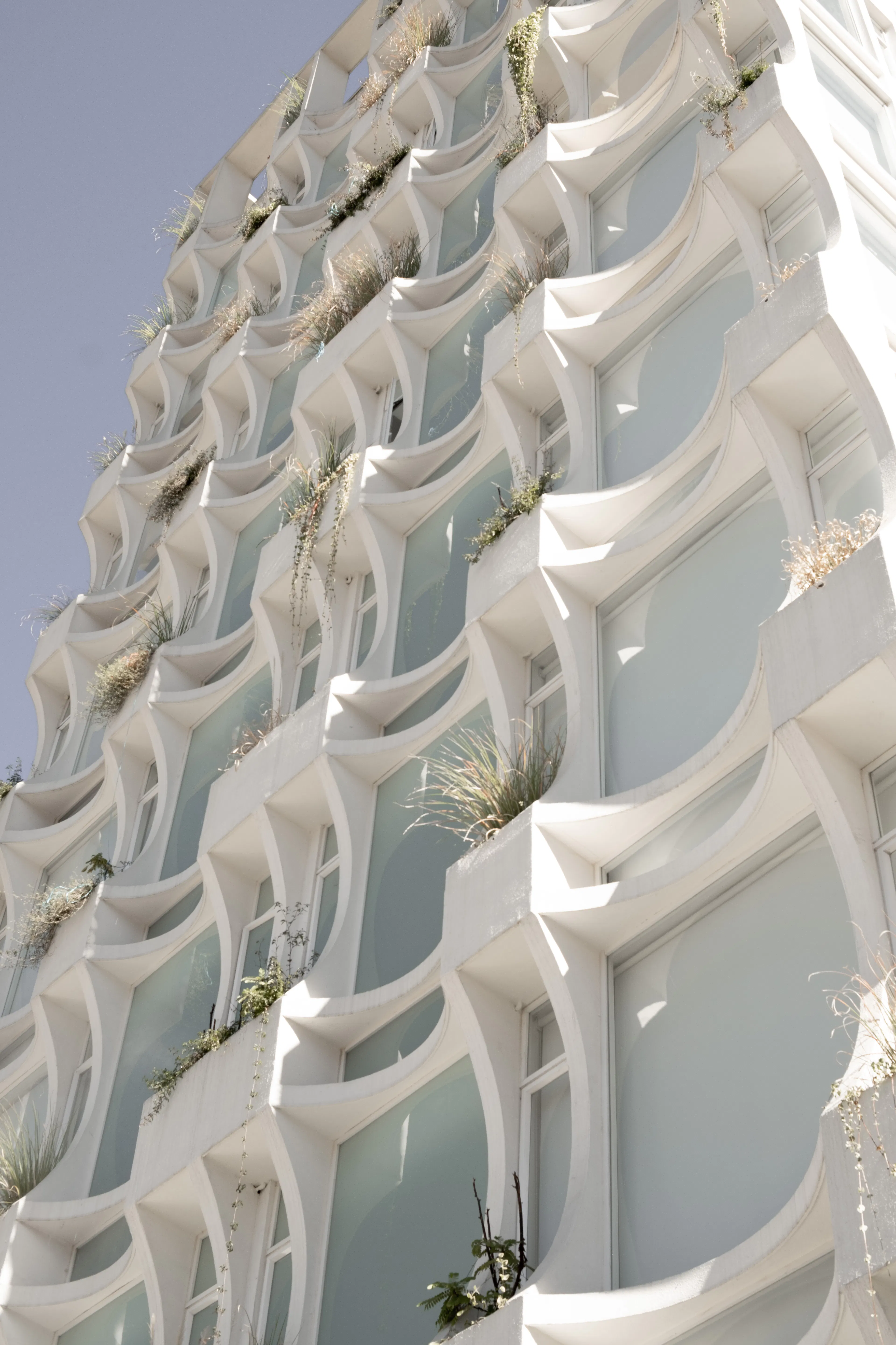 Imperia Horizonte — 8