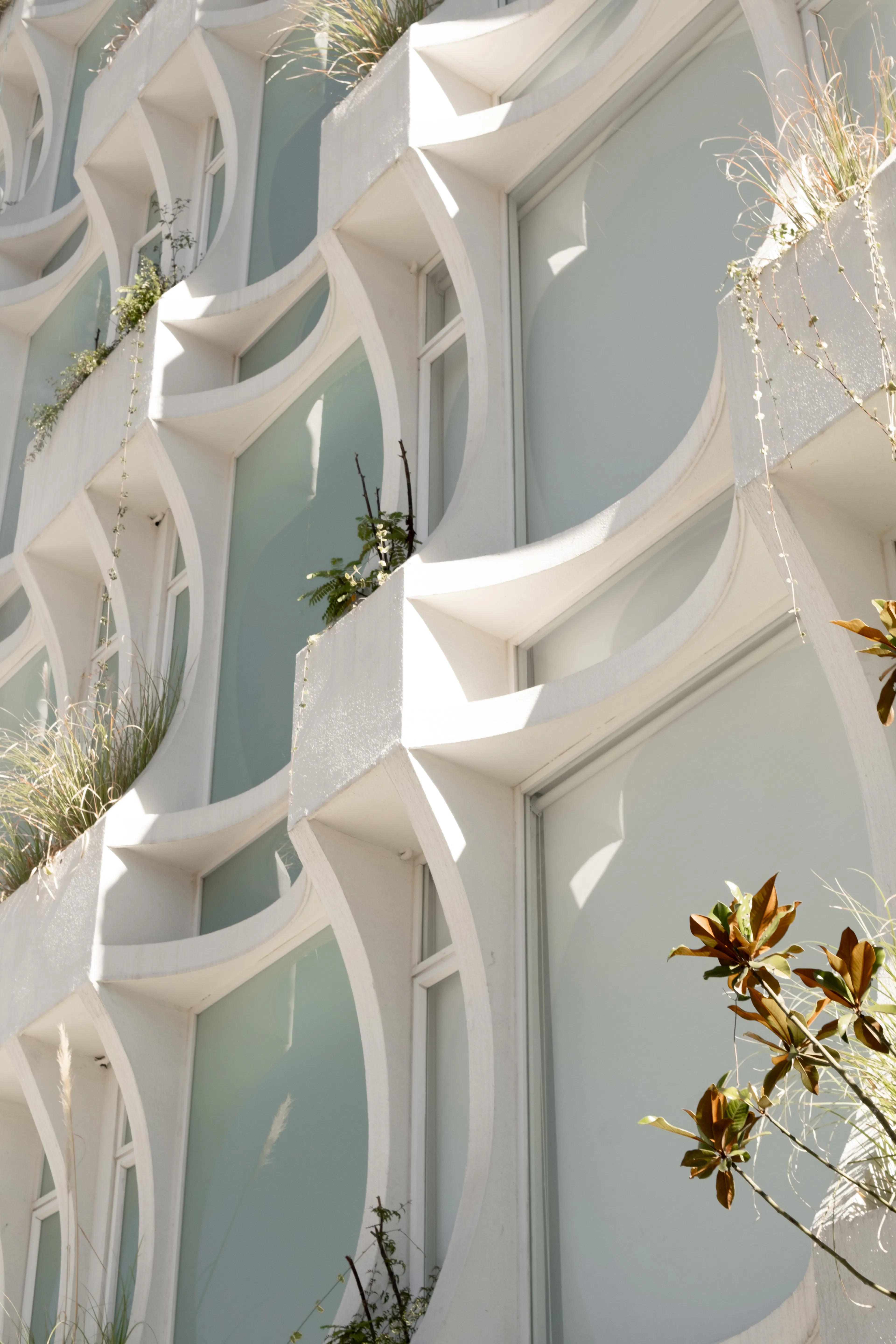 Imperia Horizonte — 12