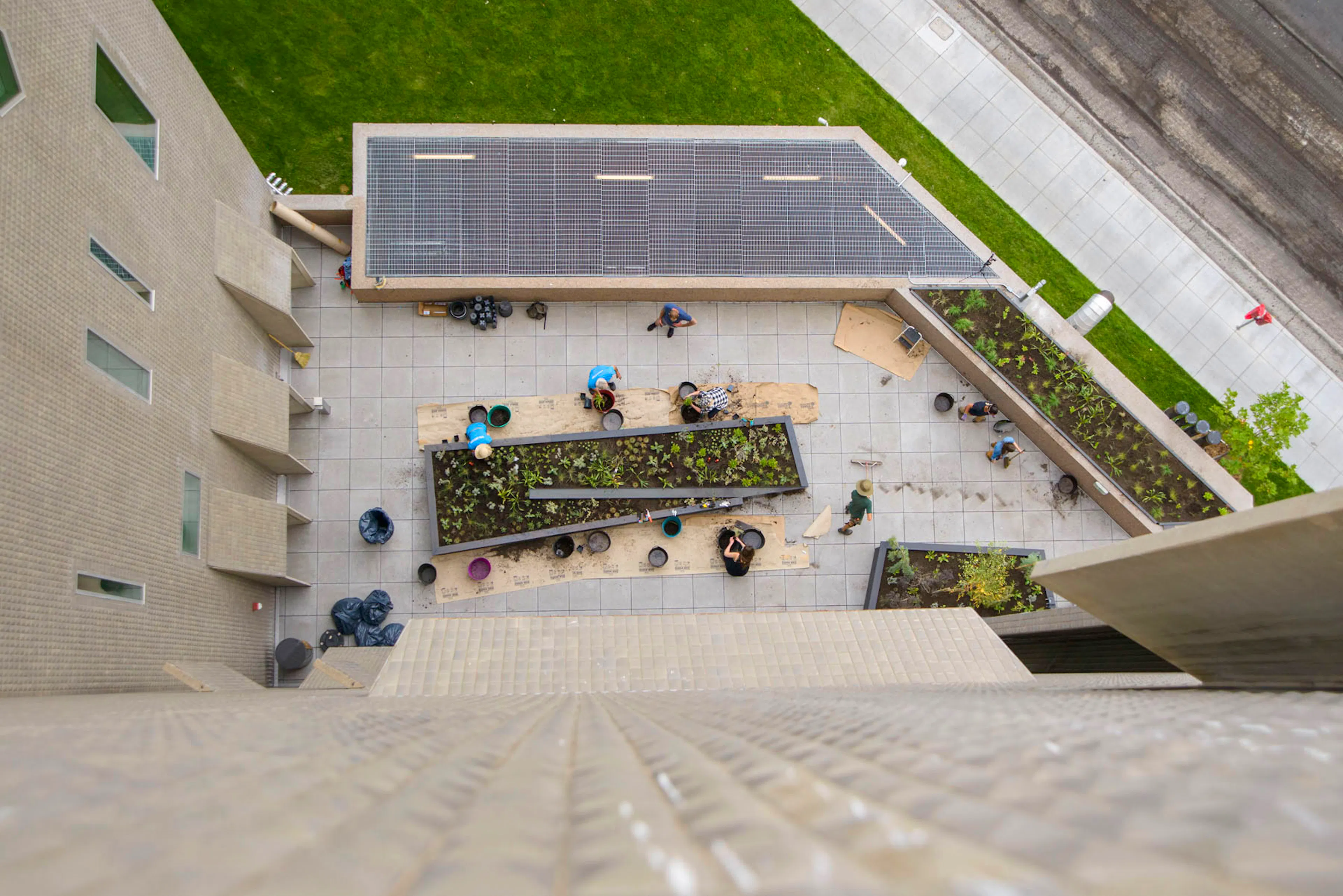 Where the Pollinators Are — 14