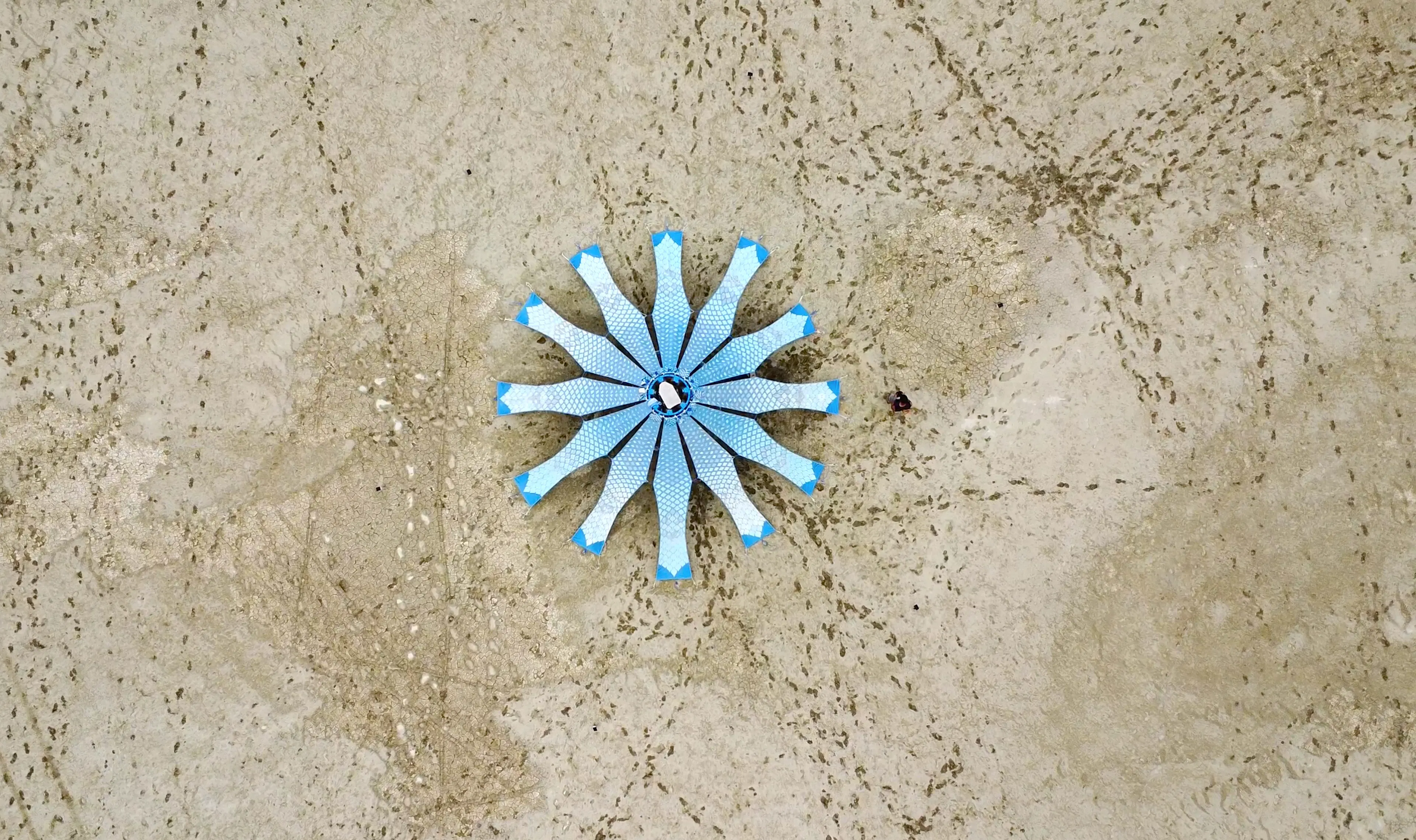 Living Knitwork Pavilion