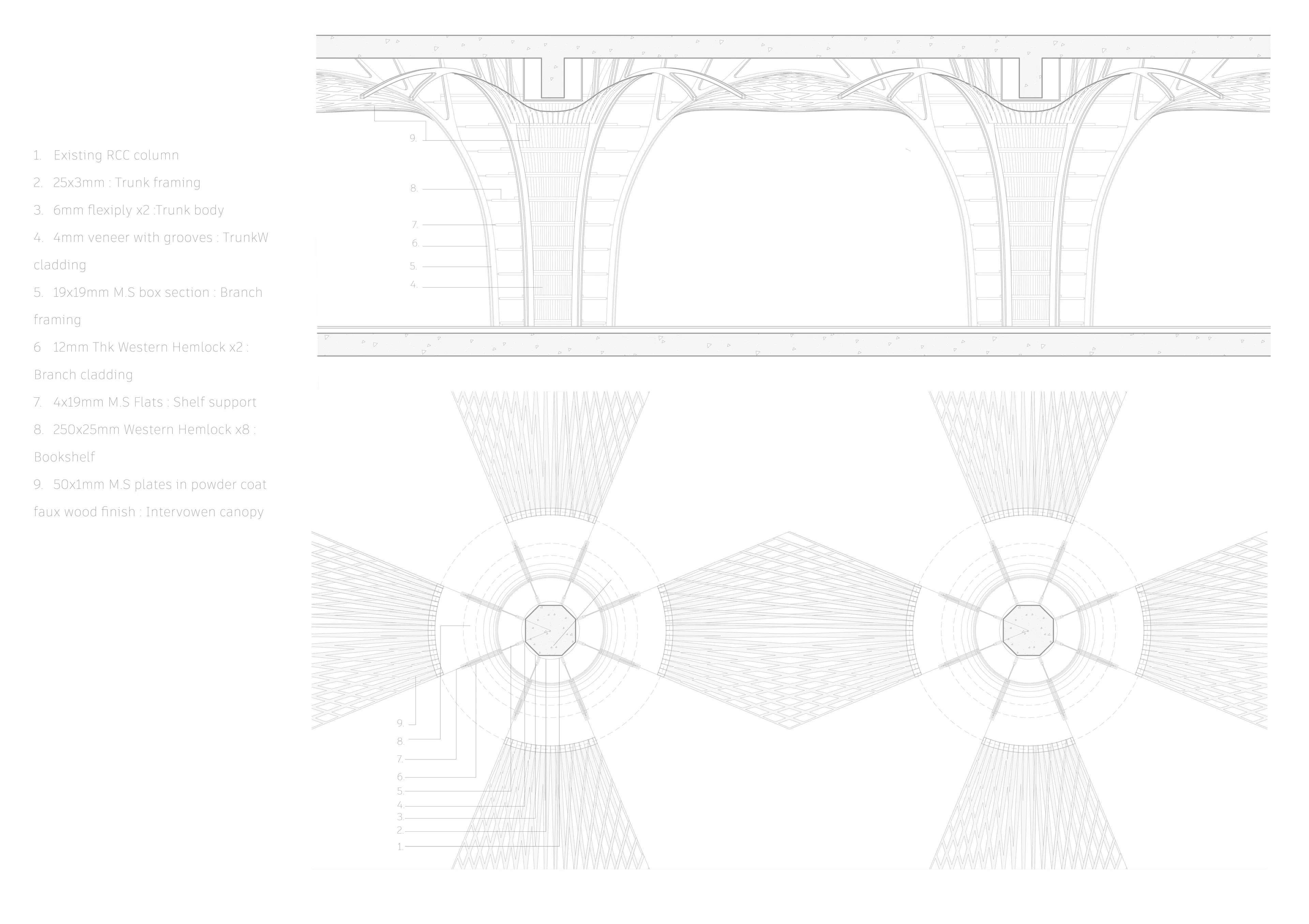The Forest of Knowledge — 31