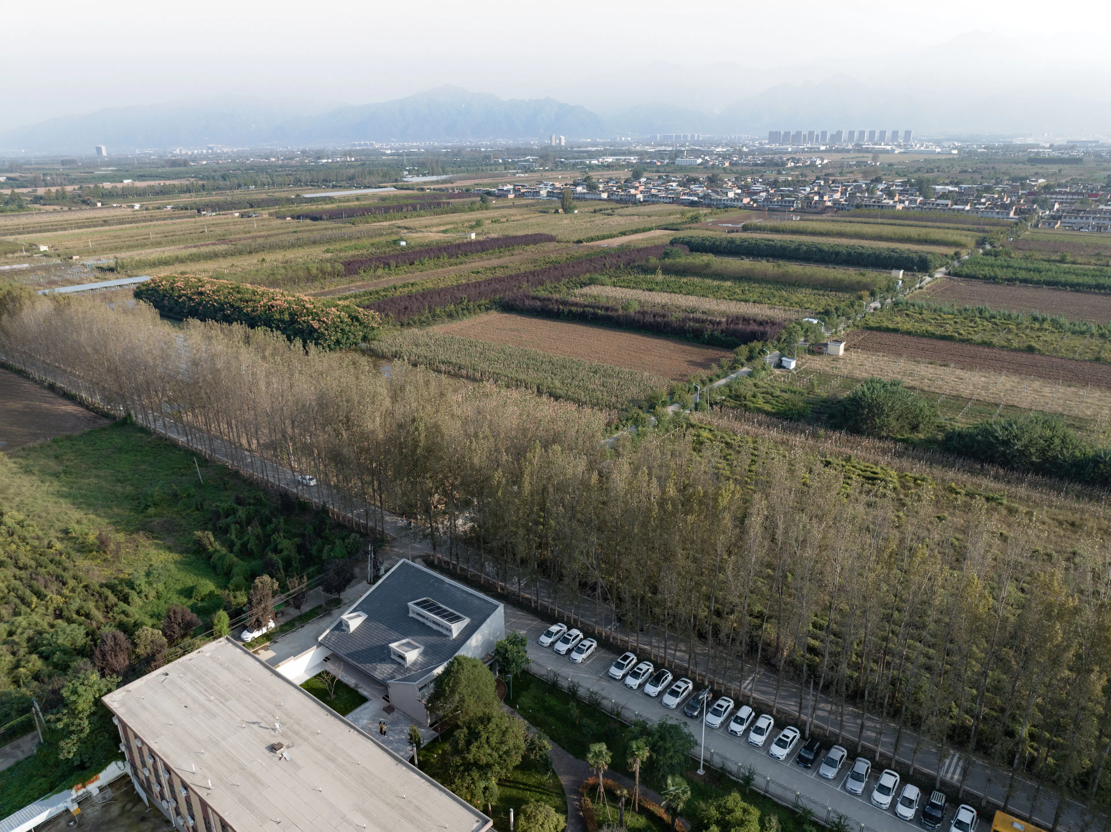 Qinfeng Library — 4