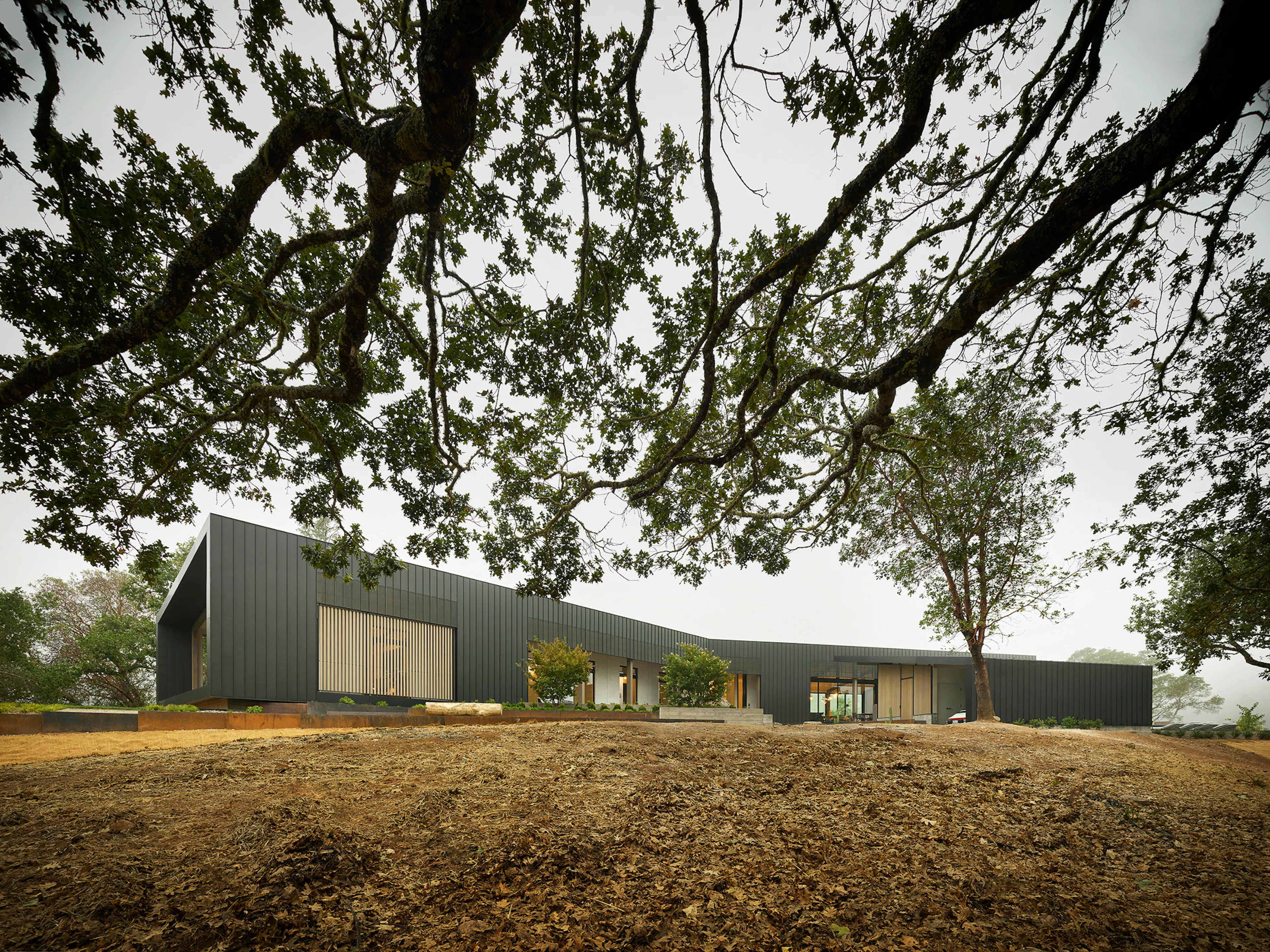 Fire Country Lookout — 1