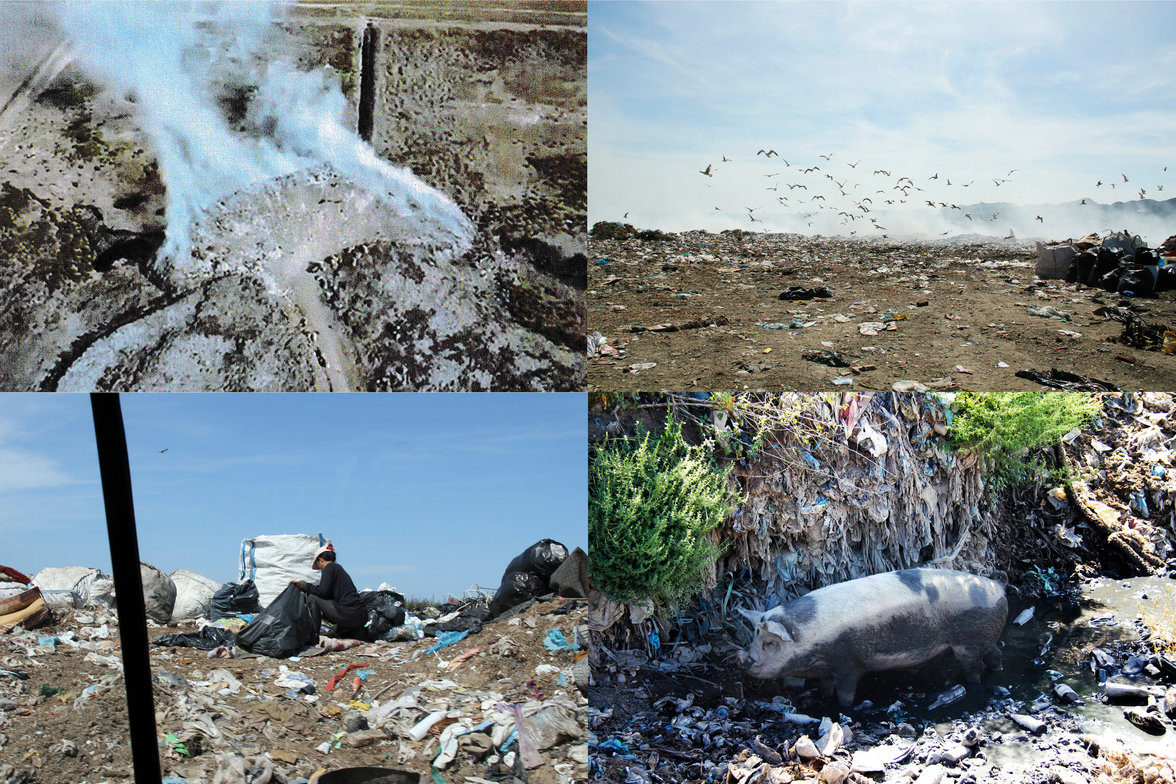 ECO PARK DURRES — 12