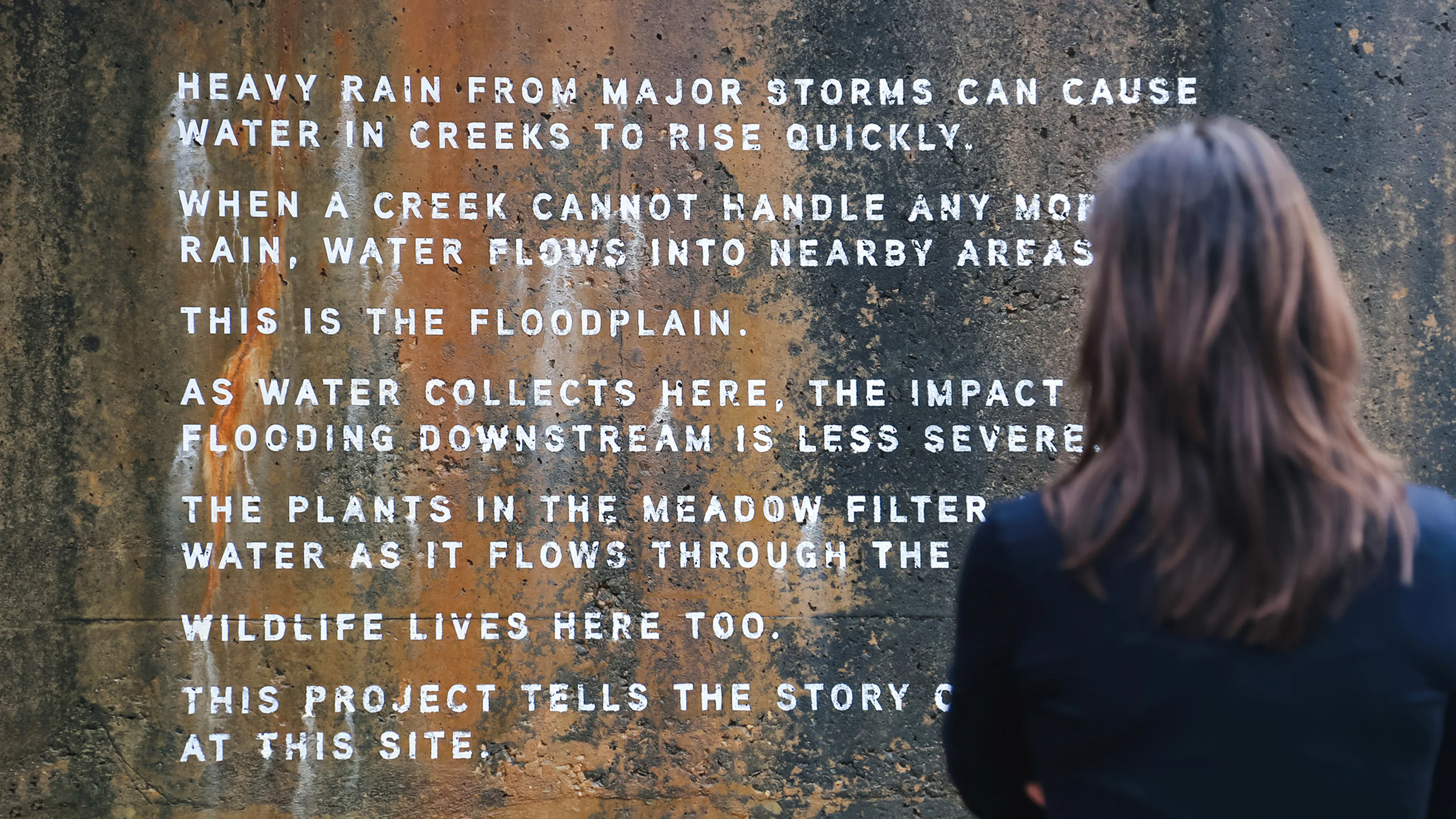 Alluvial Decoder (City of Raleigh Storm Memorial) — 8