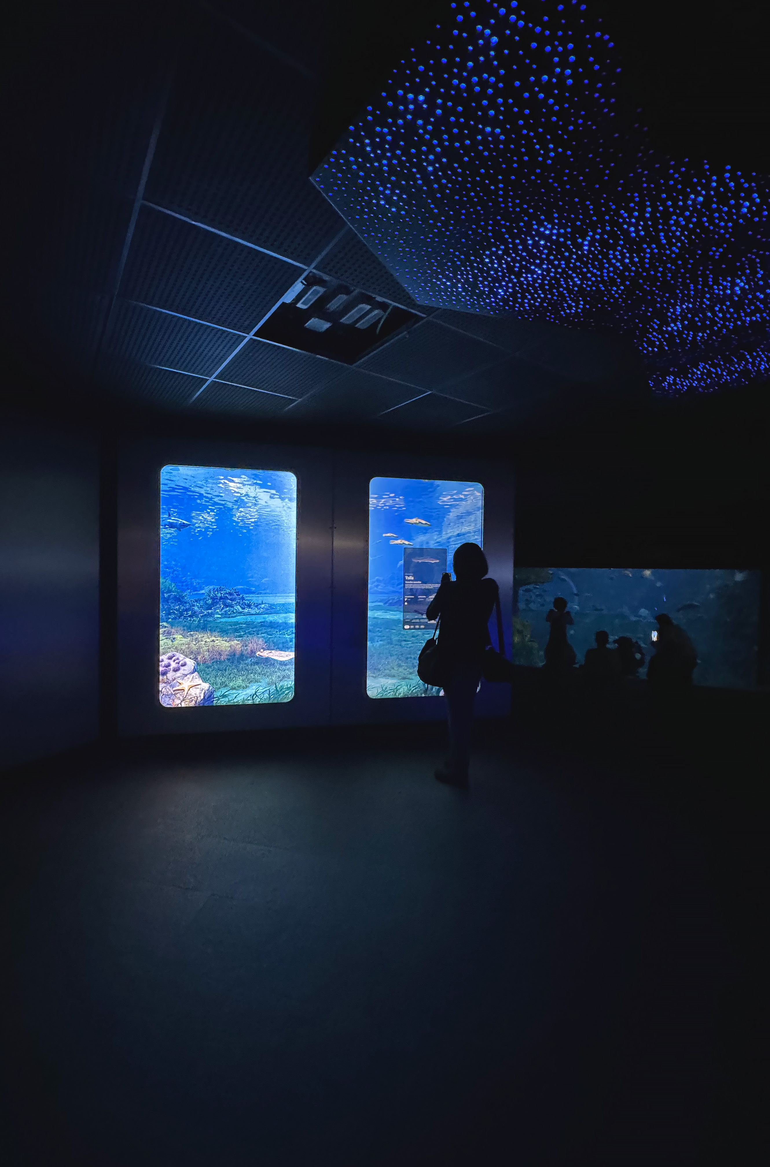 INTERACTIVE INSTALLATIONS. SAN SEBASTIAN AQUARIUM by Indissoluble S.L ...