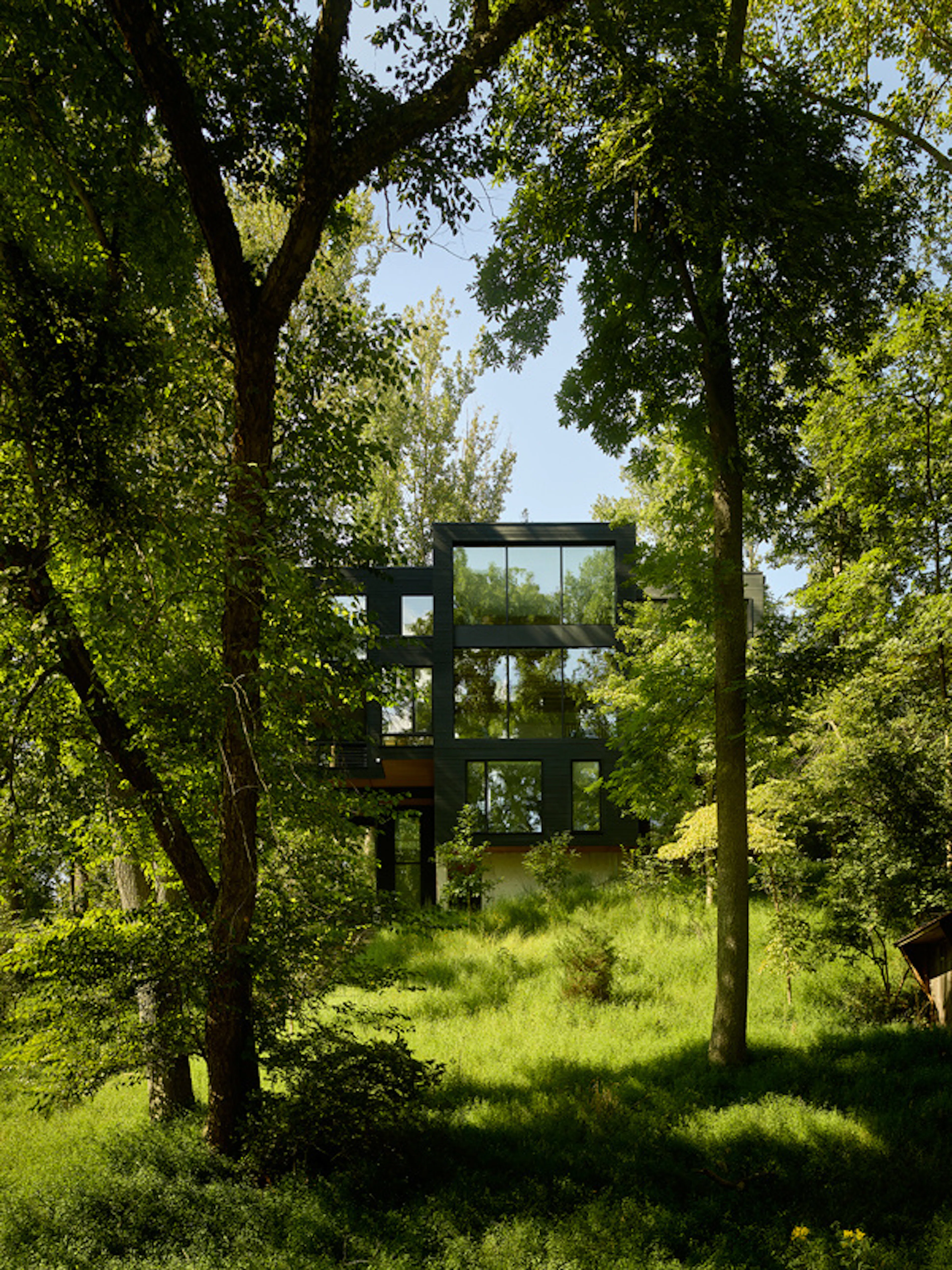 Virginia Treehouse — 14