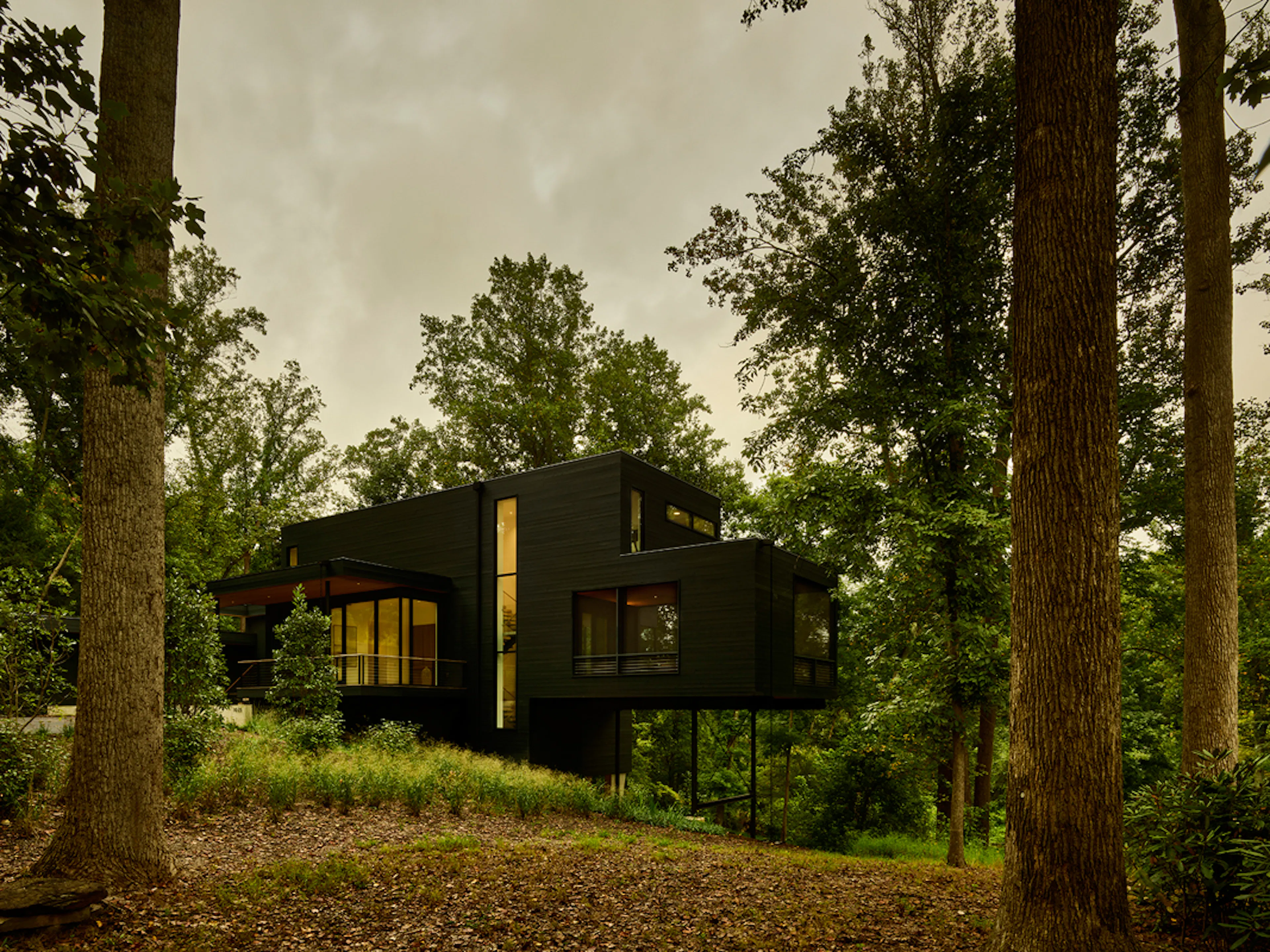 Virginia Treehouse — 12