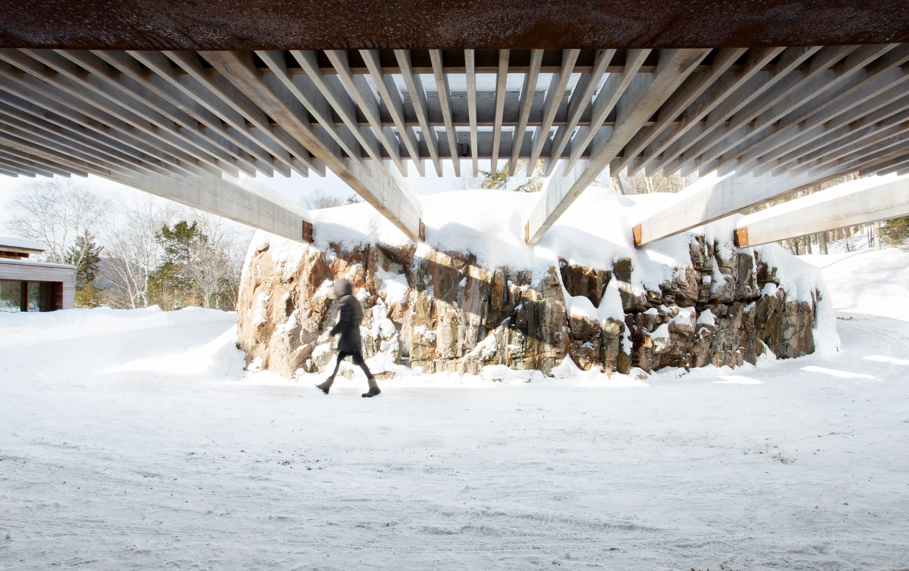 A Timeless Contrast — 17