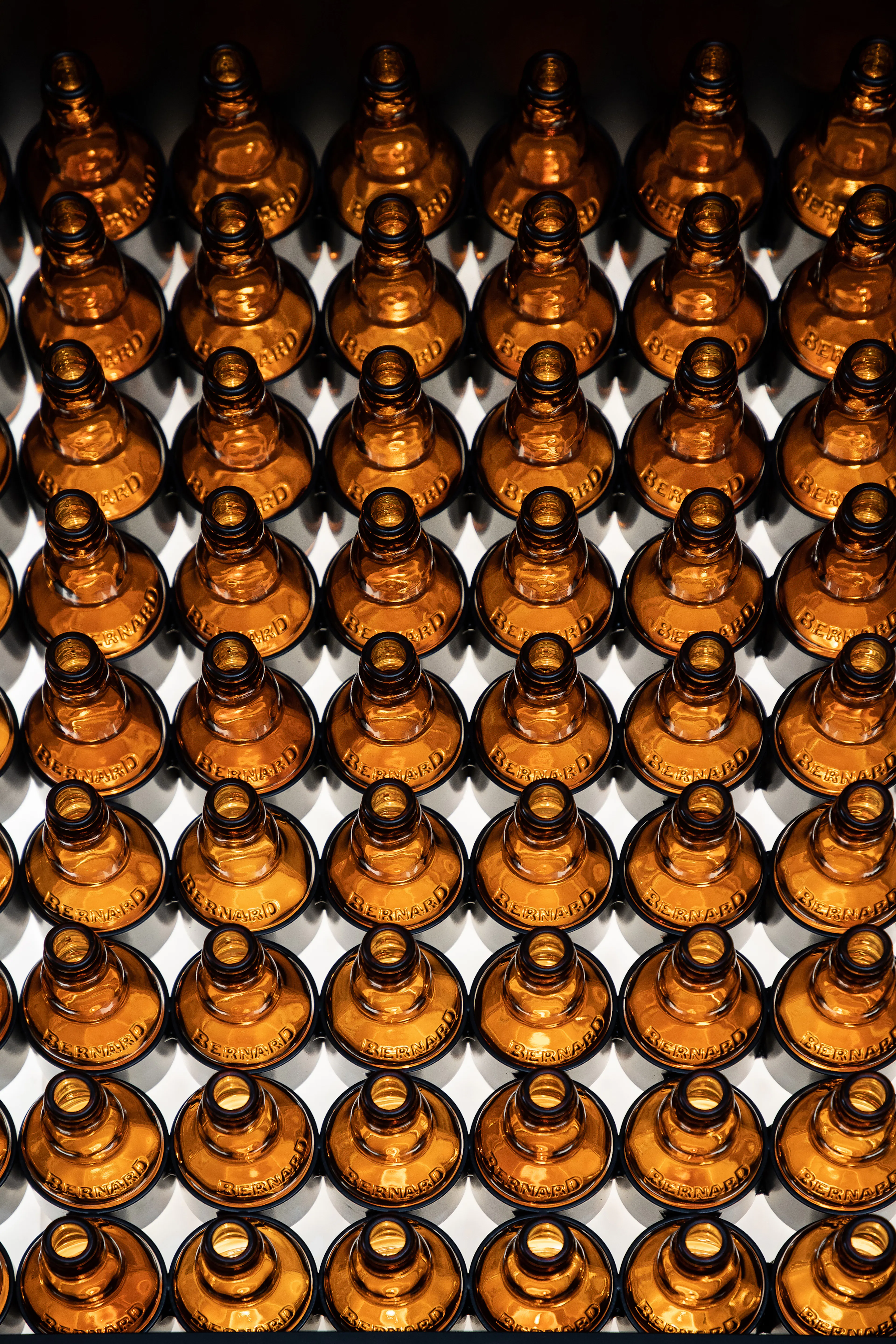 Bernard Beerhouse — 6