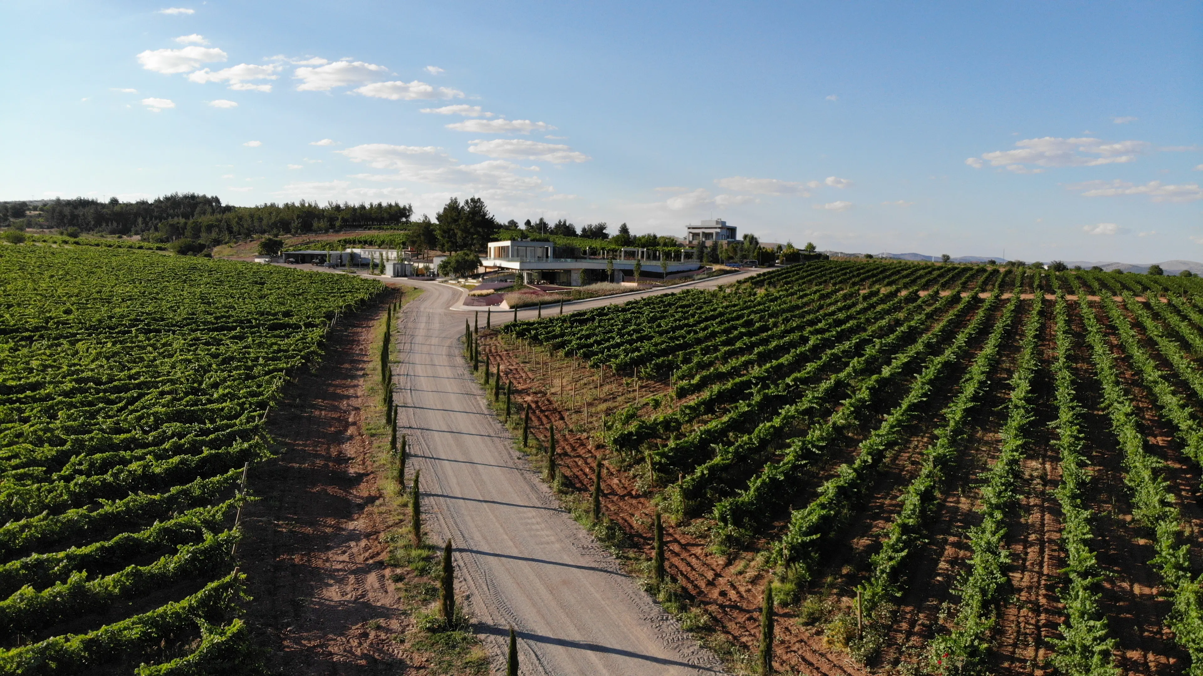 Kuzubağ Winery — 1