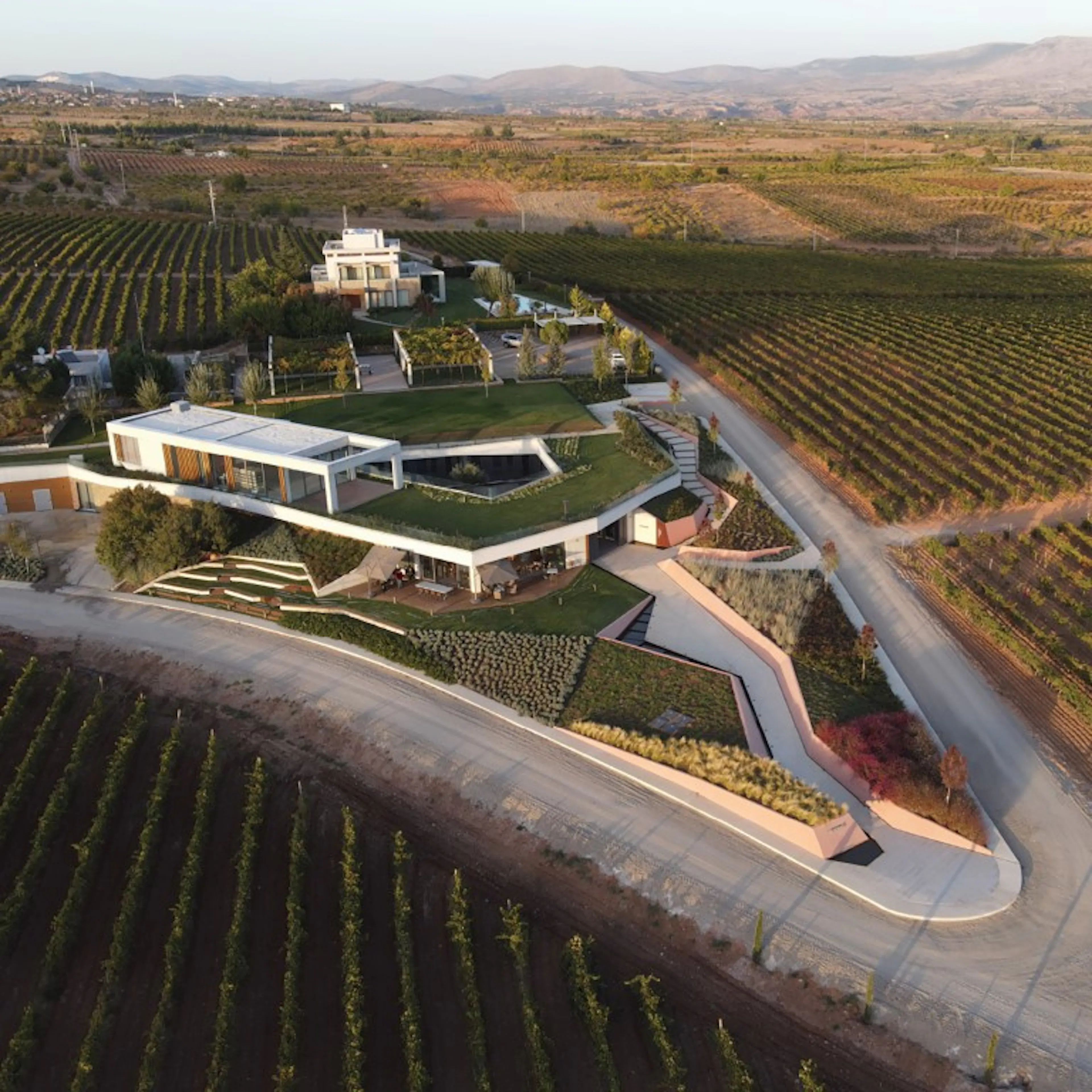 Kuzubağ Winery — 2