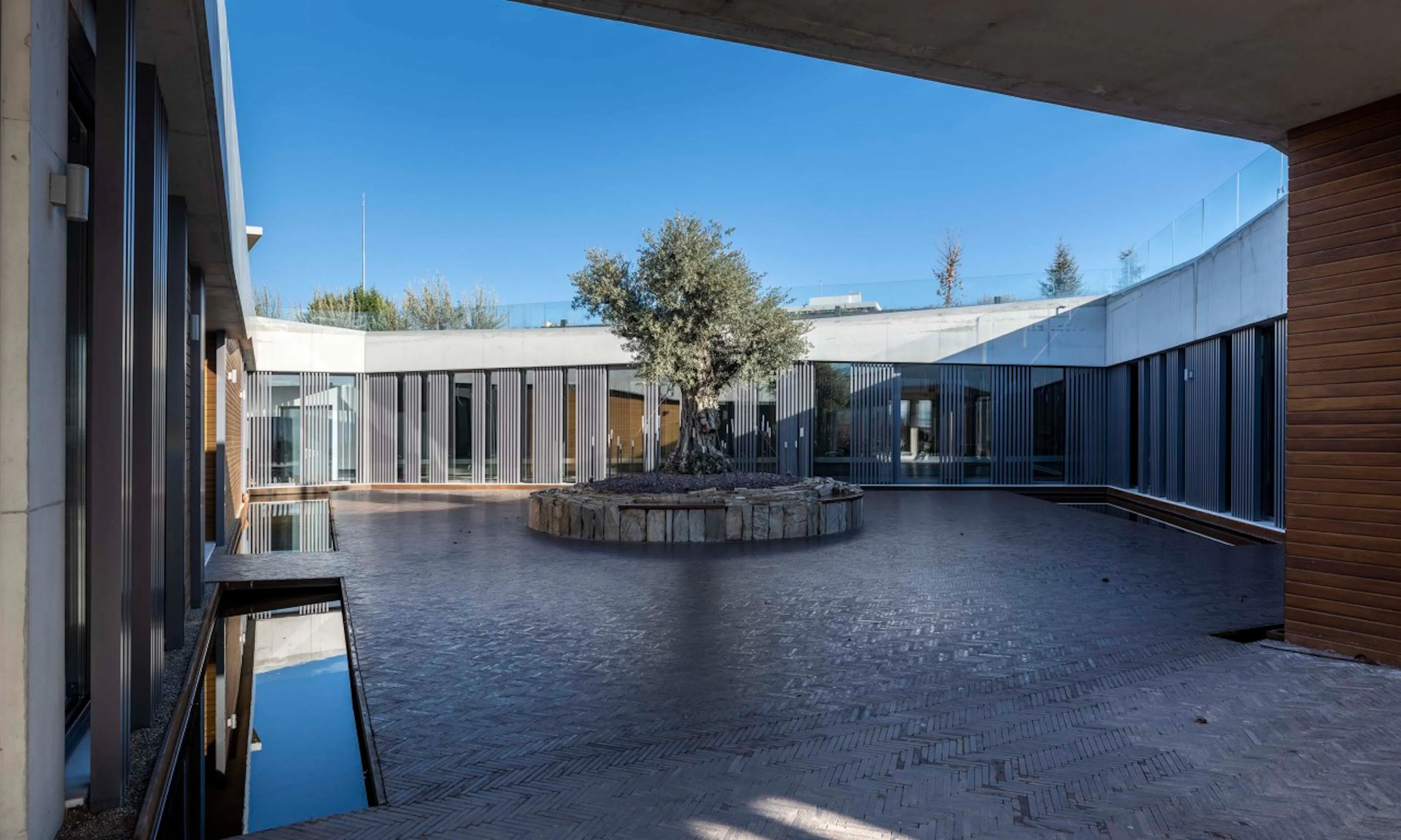 Kuzubağ Winery — 8