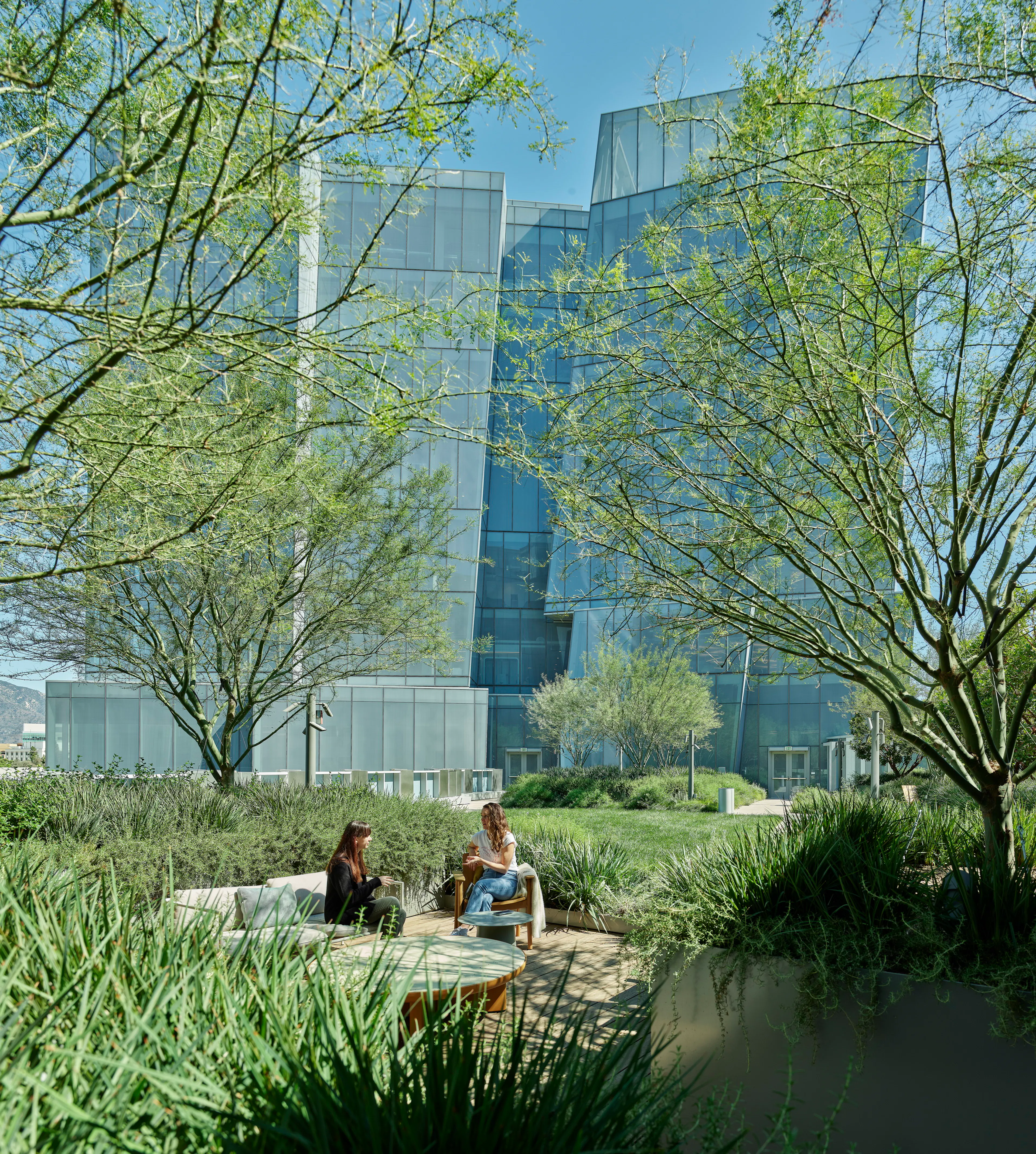 Second Century Project — 5