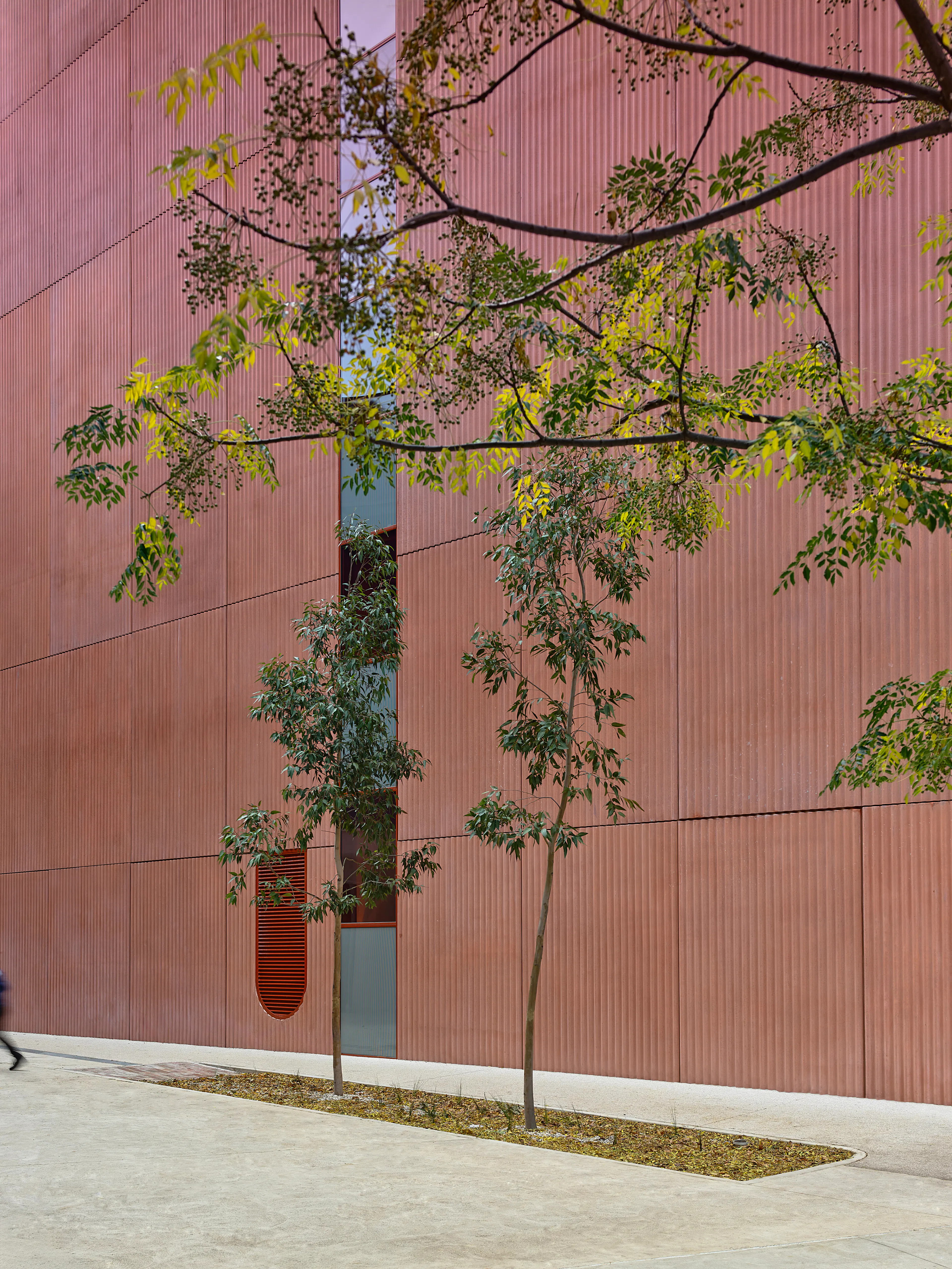 Mount Alexander College — 8