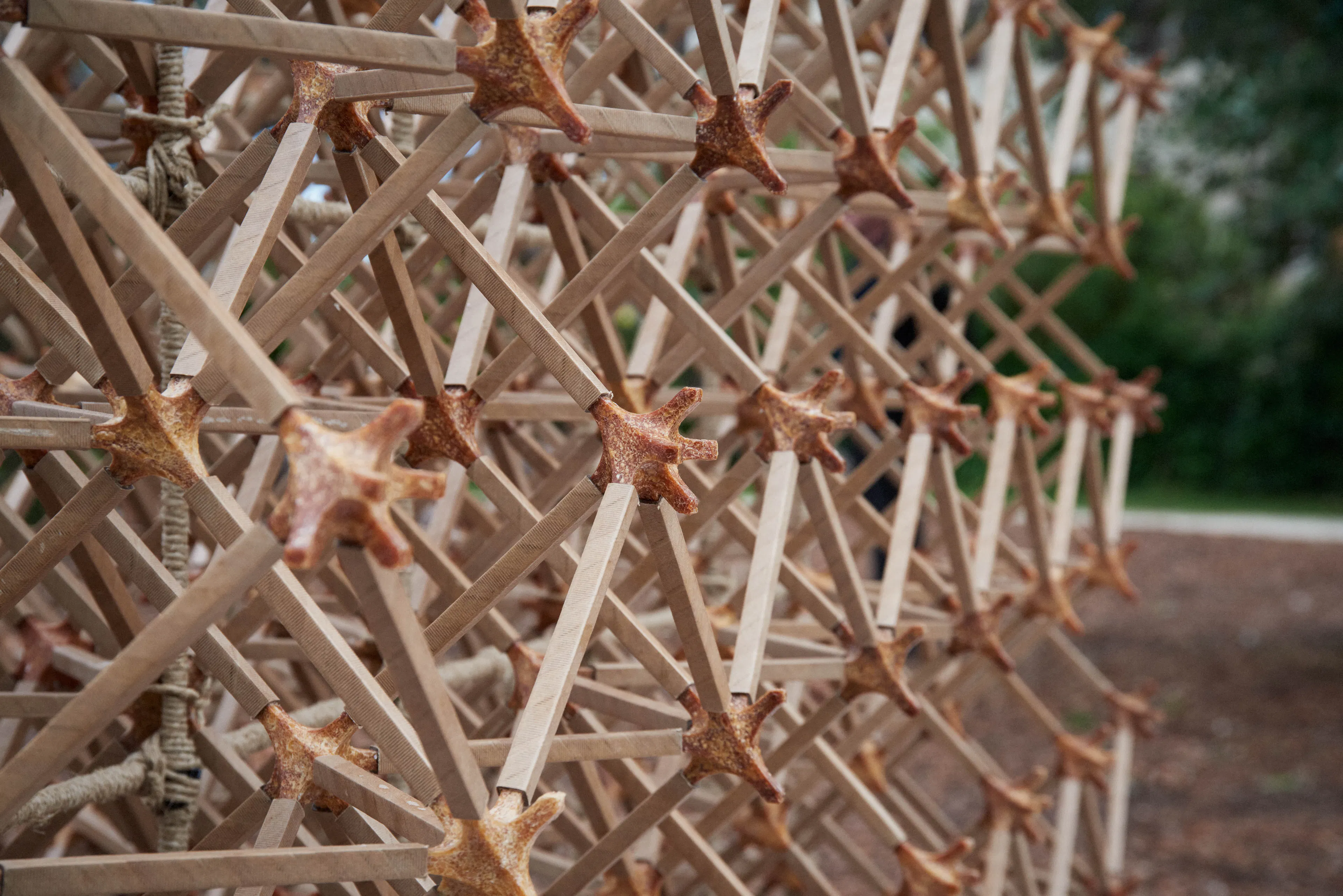 World Food Waste Tea House: #001 Veneti-an — 1