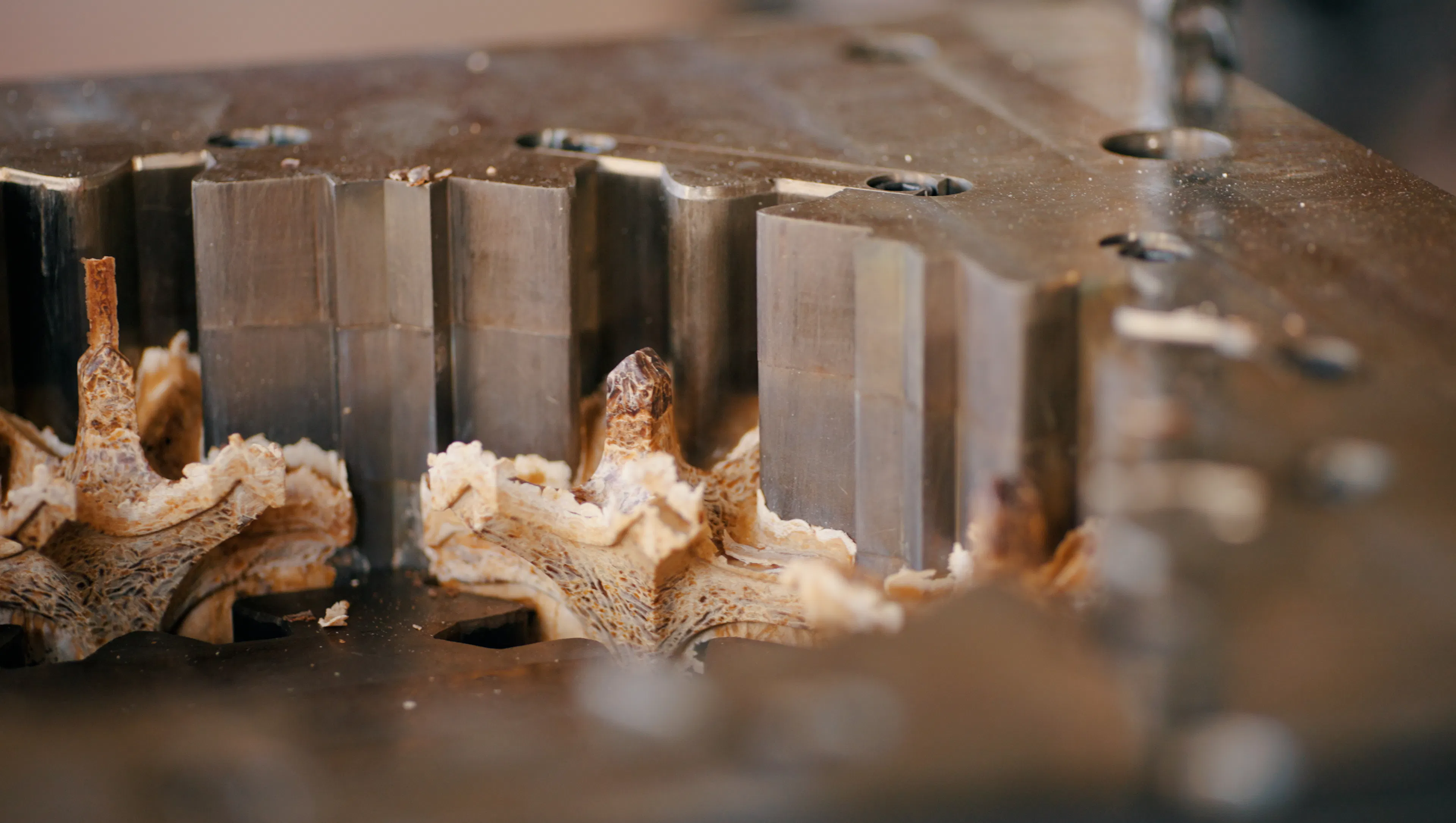 World Food Waste Tea House: #001 Veneti-an — 11