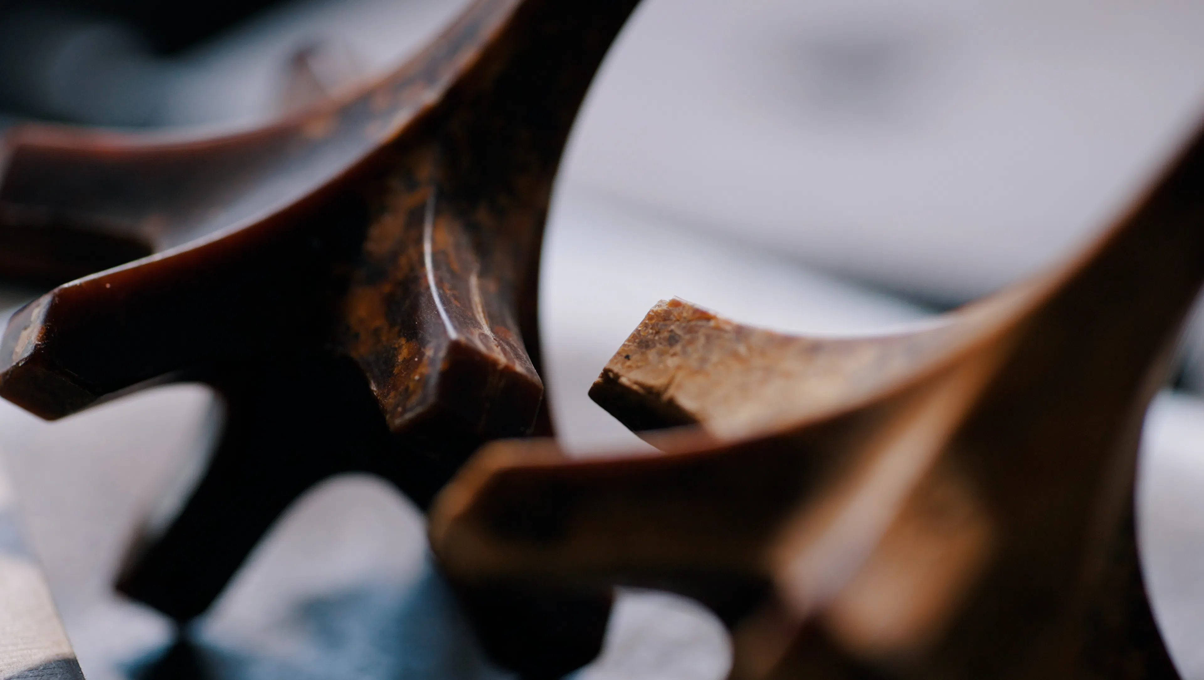 World Food Waste Tea House: #001 Veneti-an — 14