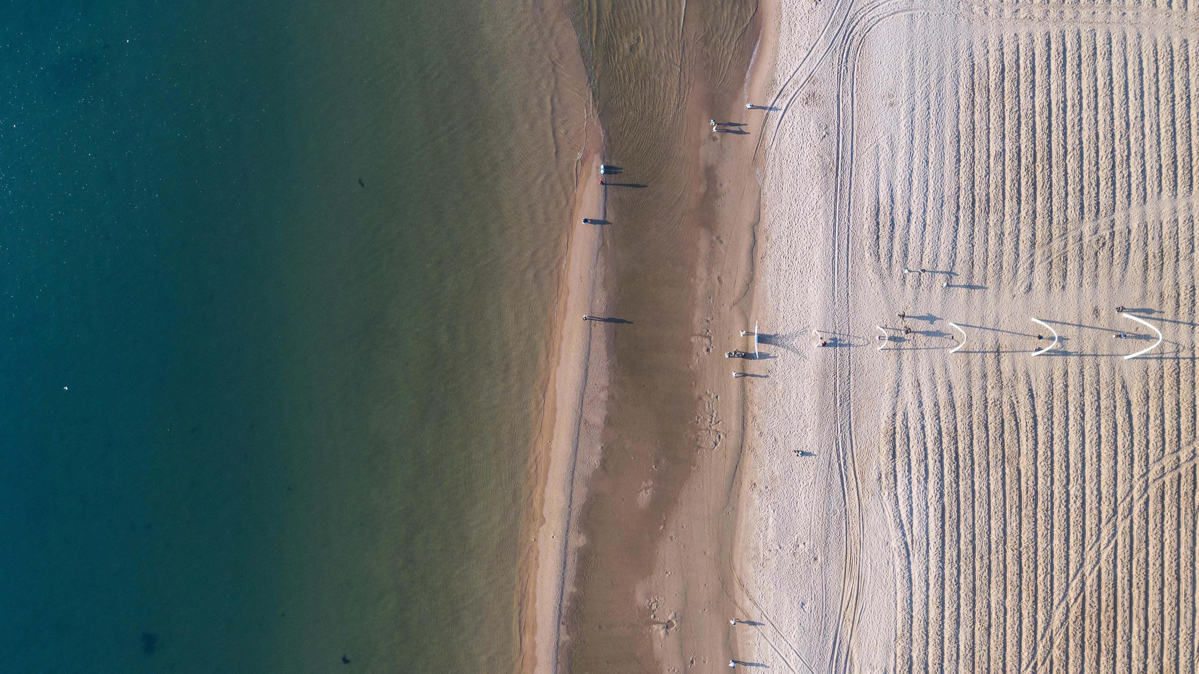 Aranya Seaside Whale Swing — 1