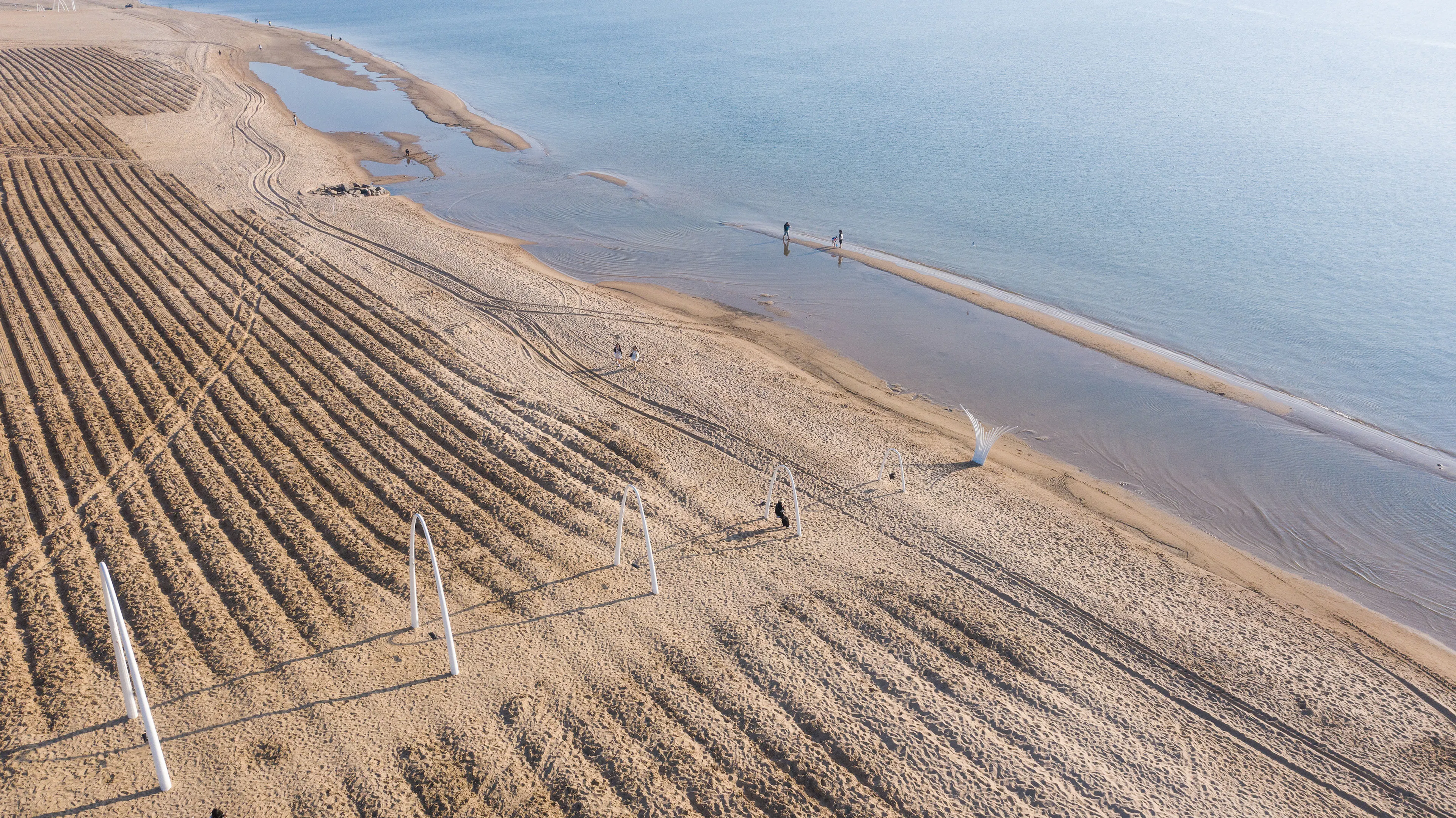 Aranya Seaside Whale Swing — 2