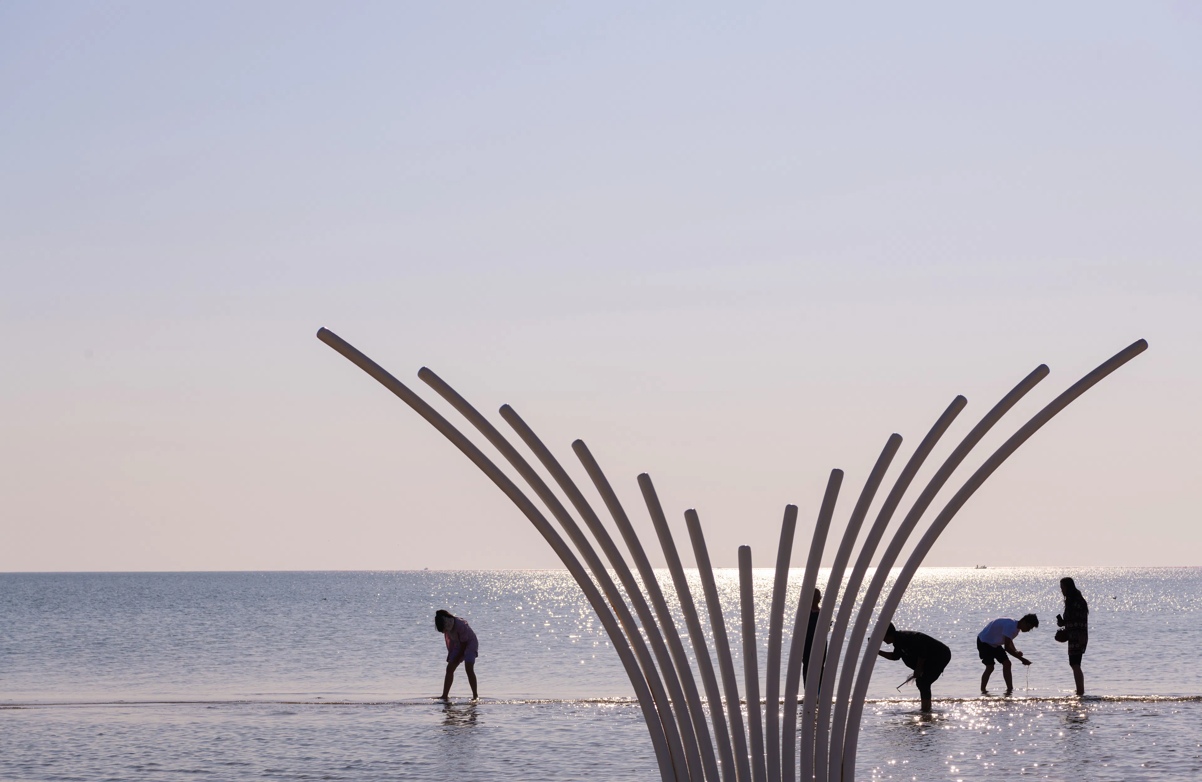 Aranya Seaside Whale Swing — 8