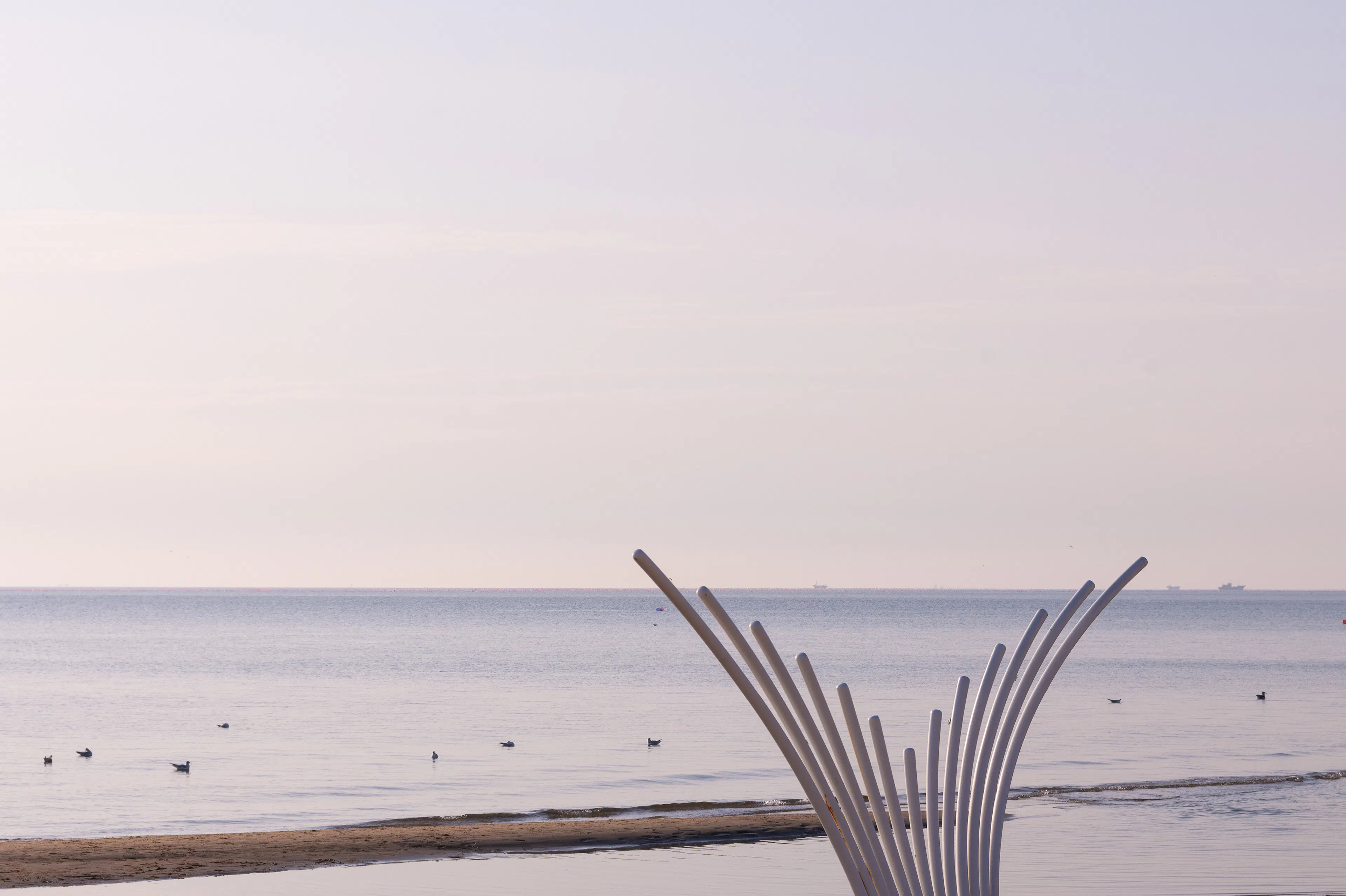 Aranya Seaside Whale Swing — 9