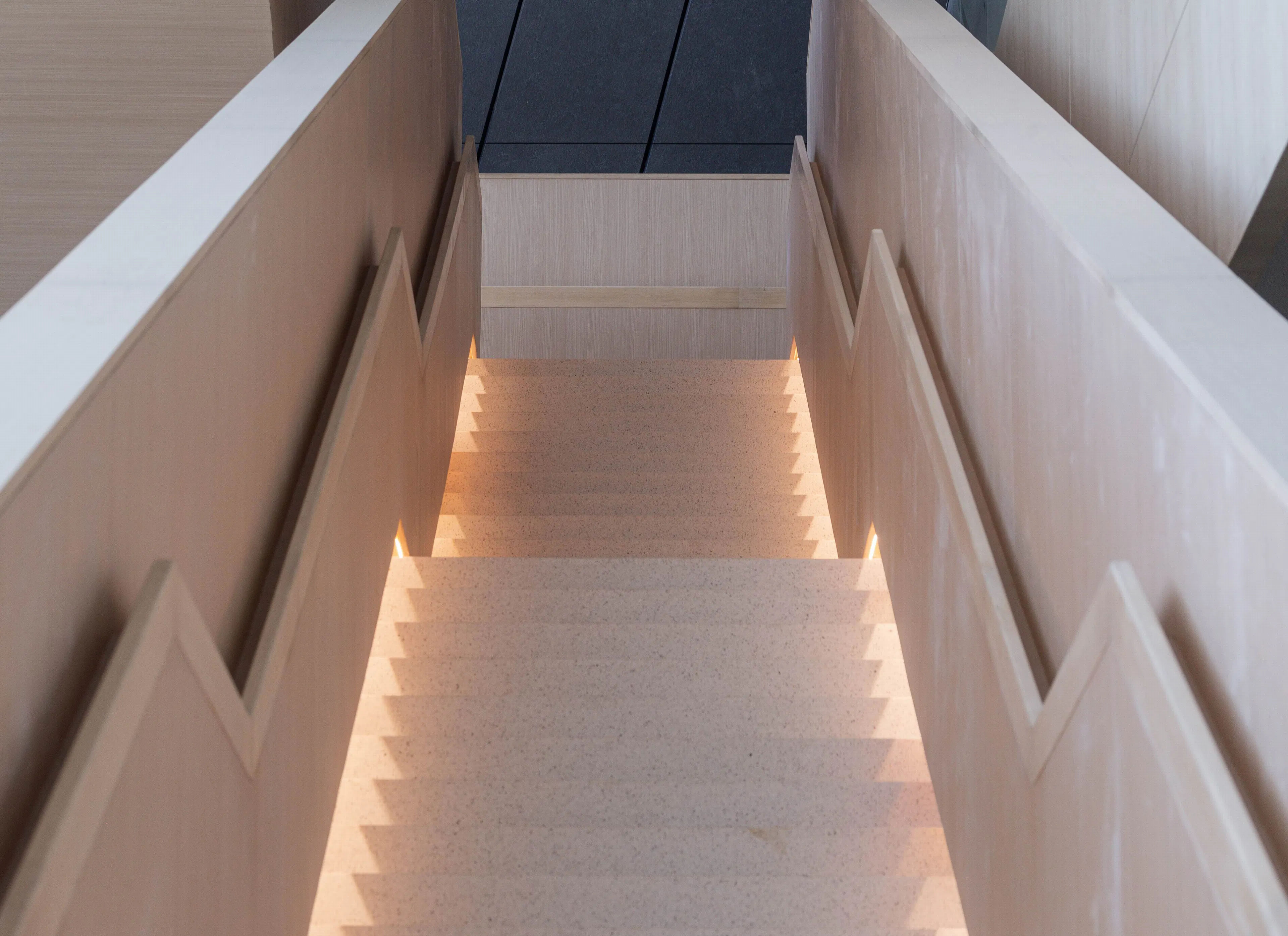 Biotech Research and Incubation Center Phase III — 24