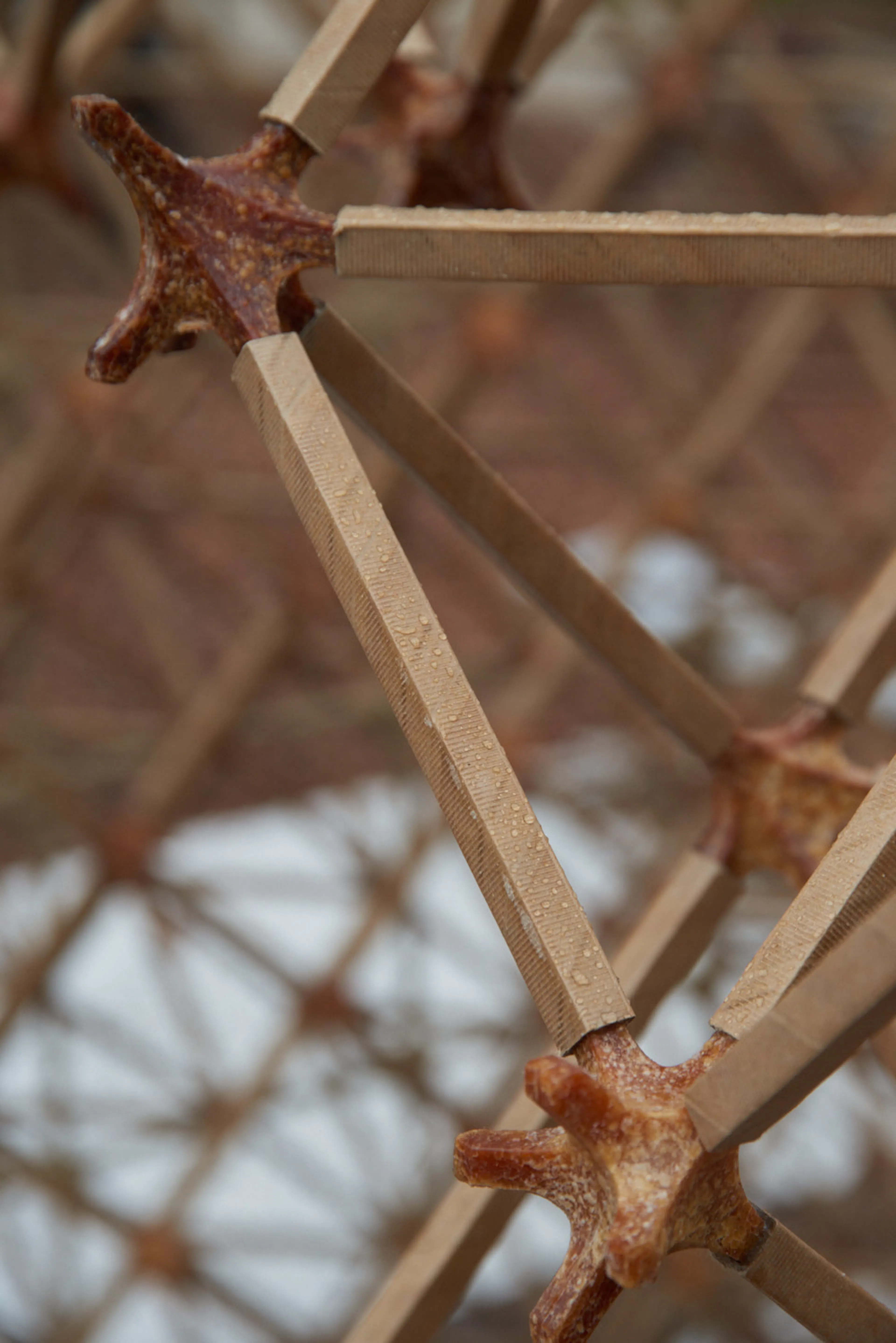 World Food Waste Tea House: #001 Veneti-an — 15