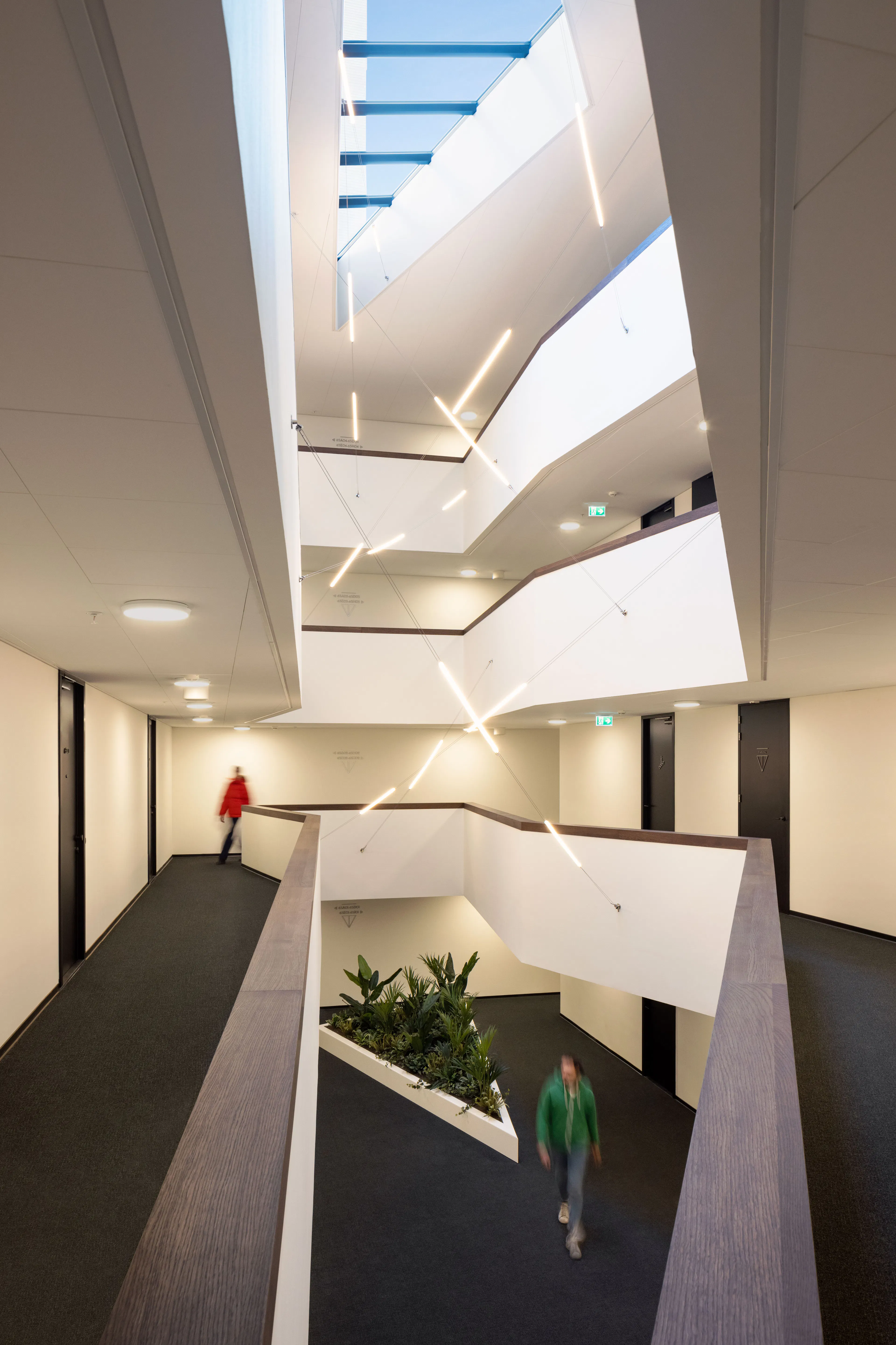 The Muse & CasaNova — 10