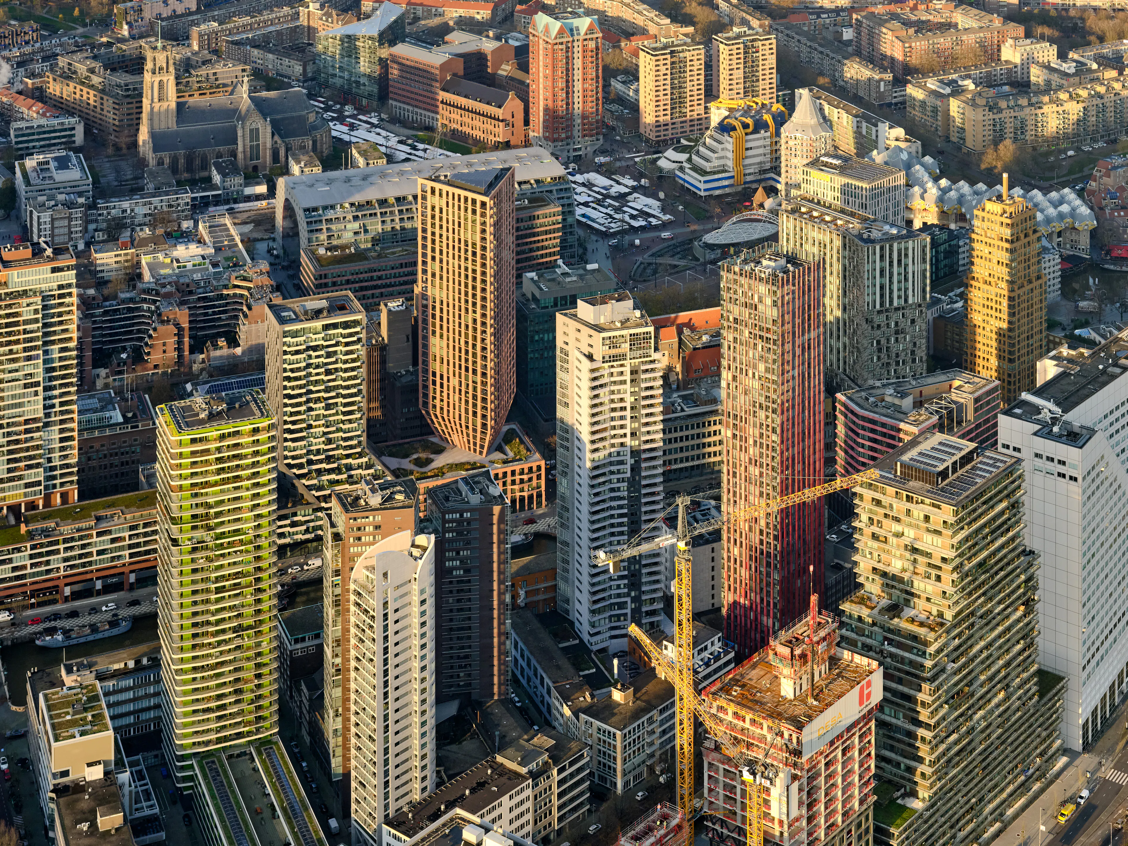 The Muse & CasaNova — 7