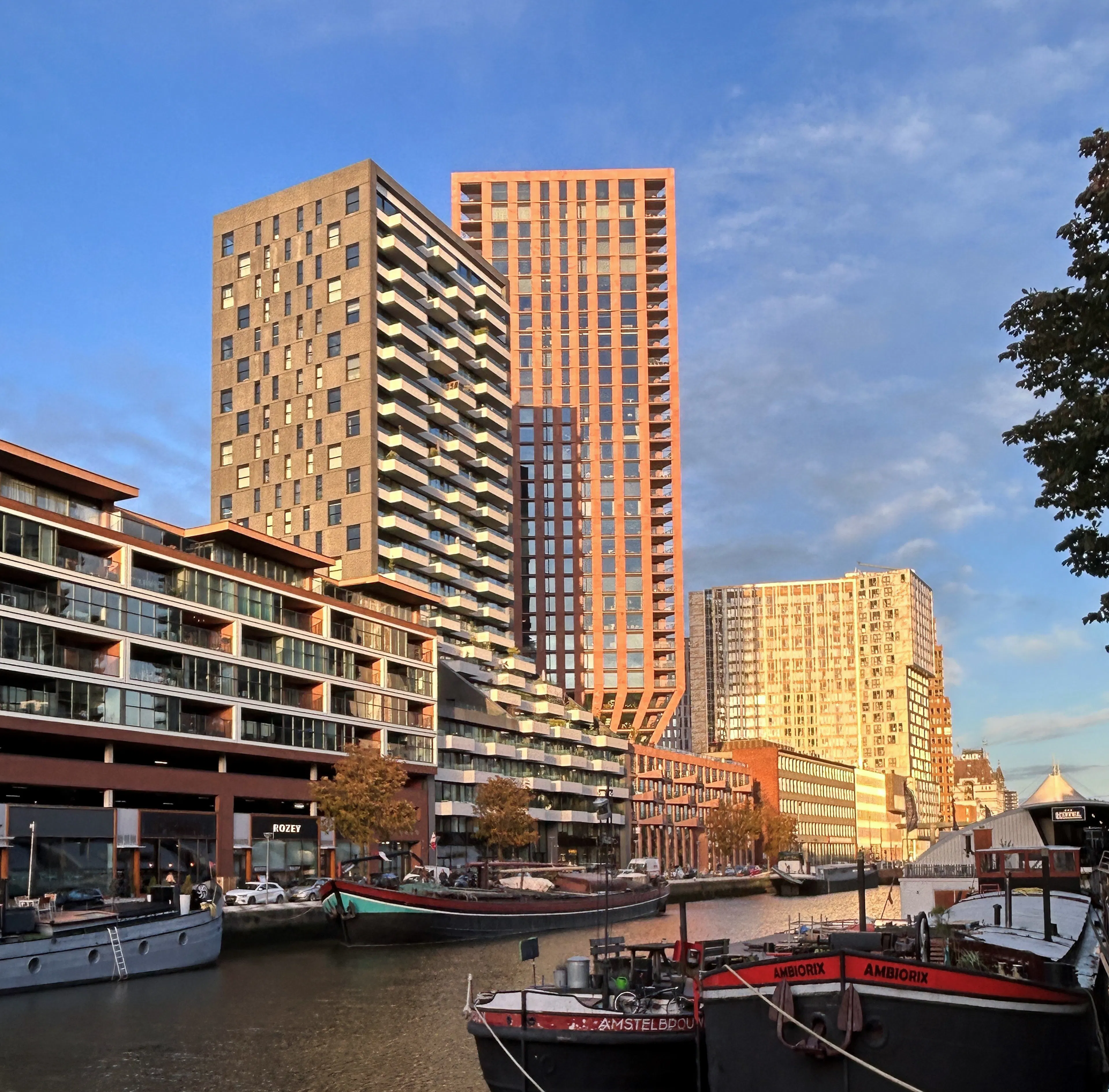 The Muse & CasaNova — 2