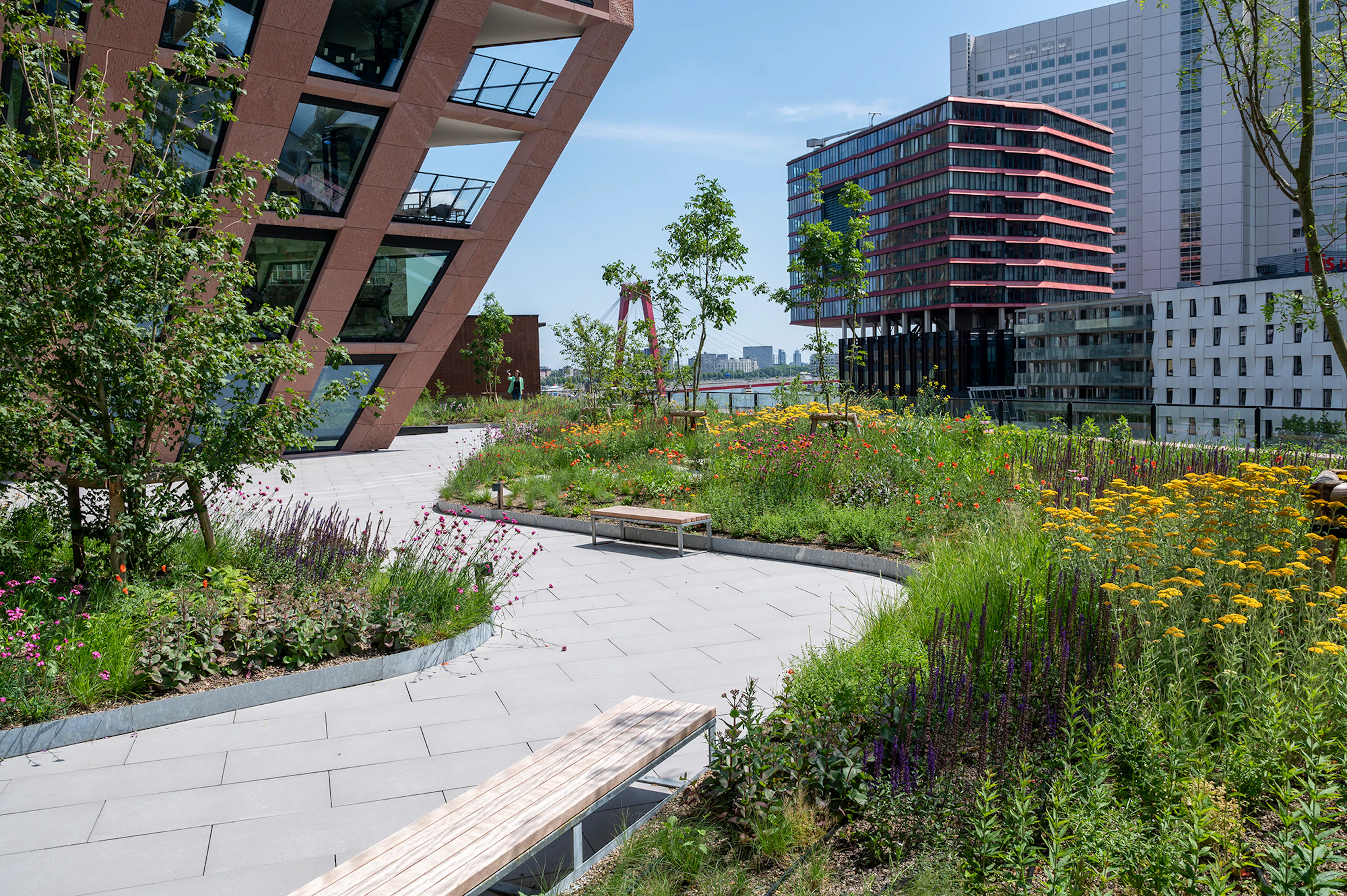 The Muse & CasaNova — 4