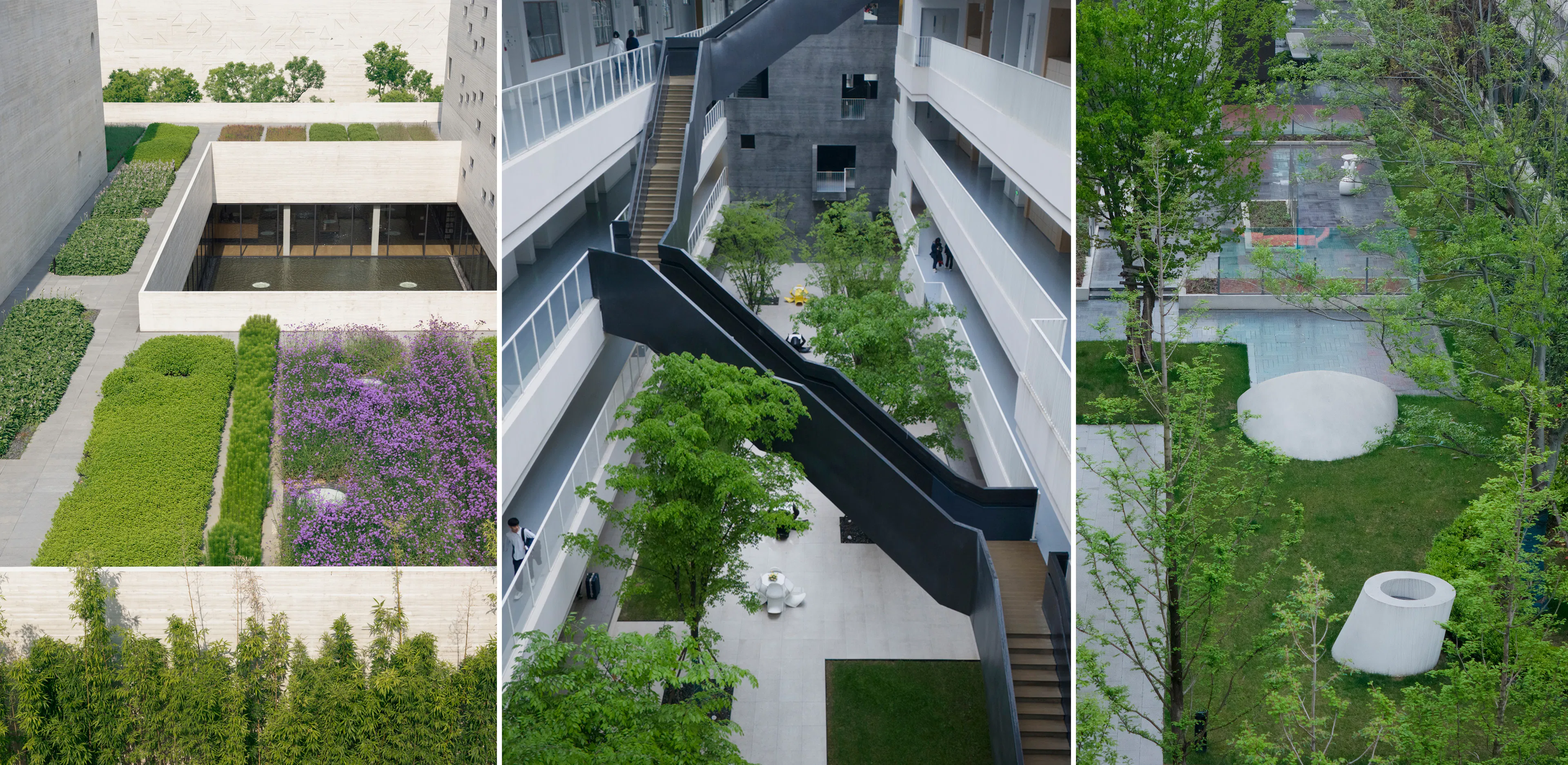 Suzhou Mountain Kingston Bilingual School — 11