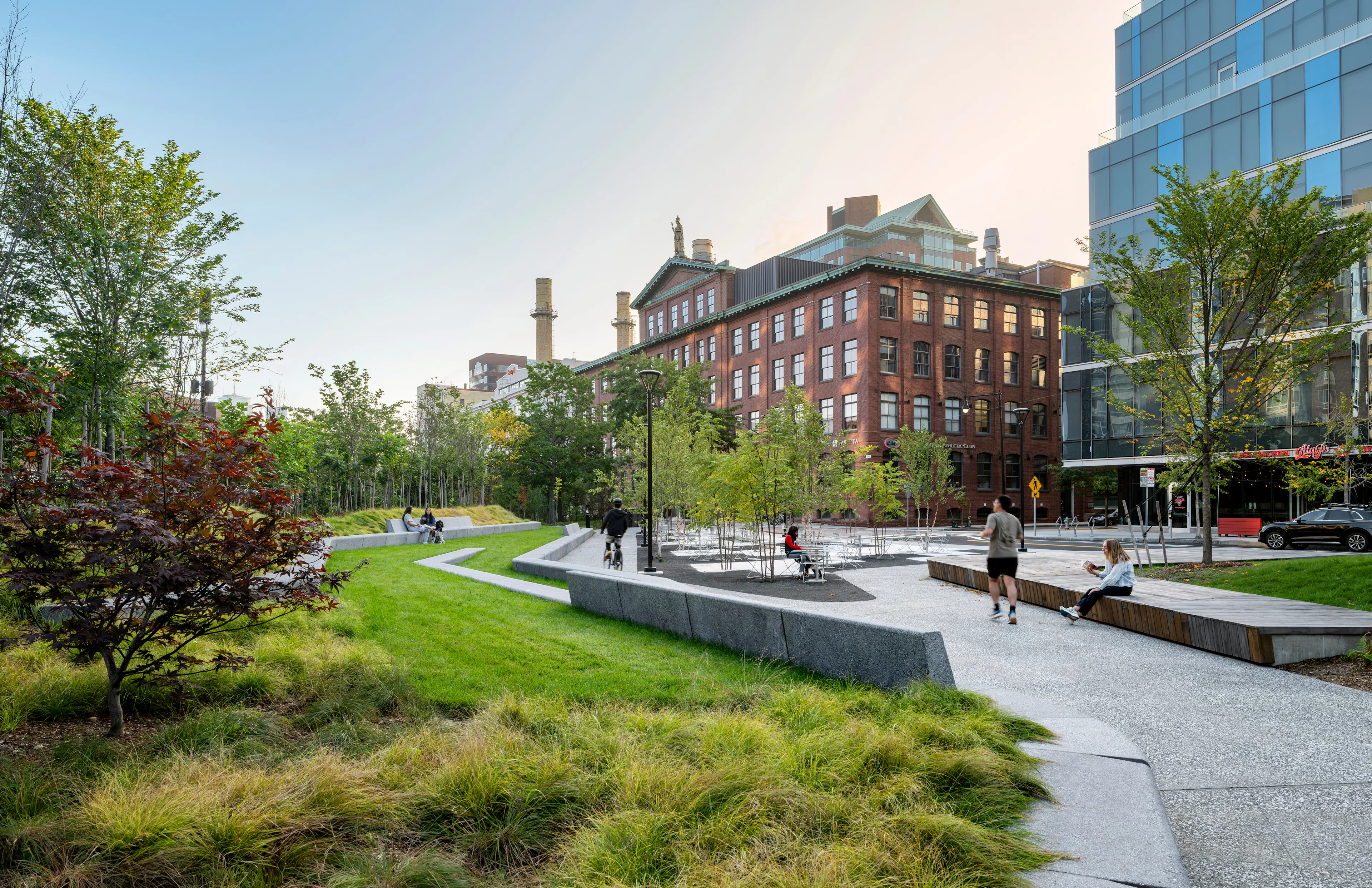 Triangle Park Urban Forest — 1