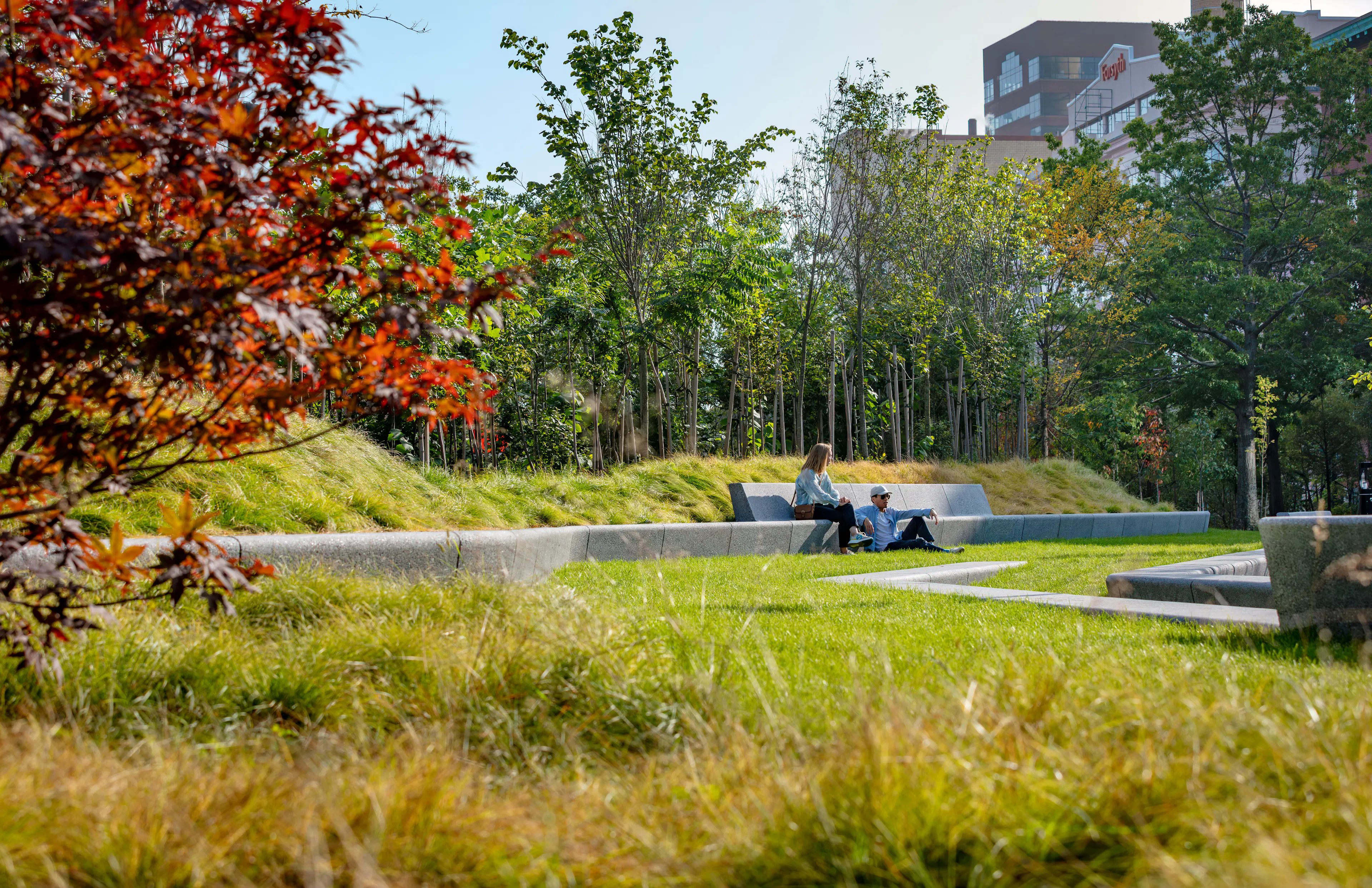 Triangle Park Urban Forest