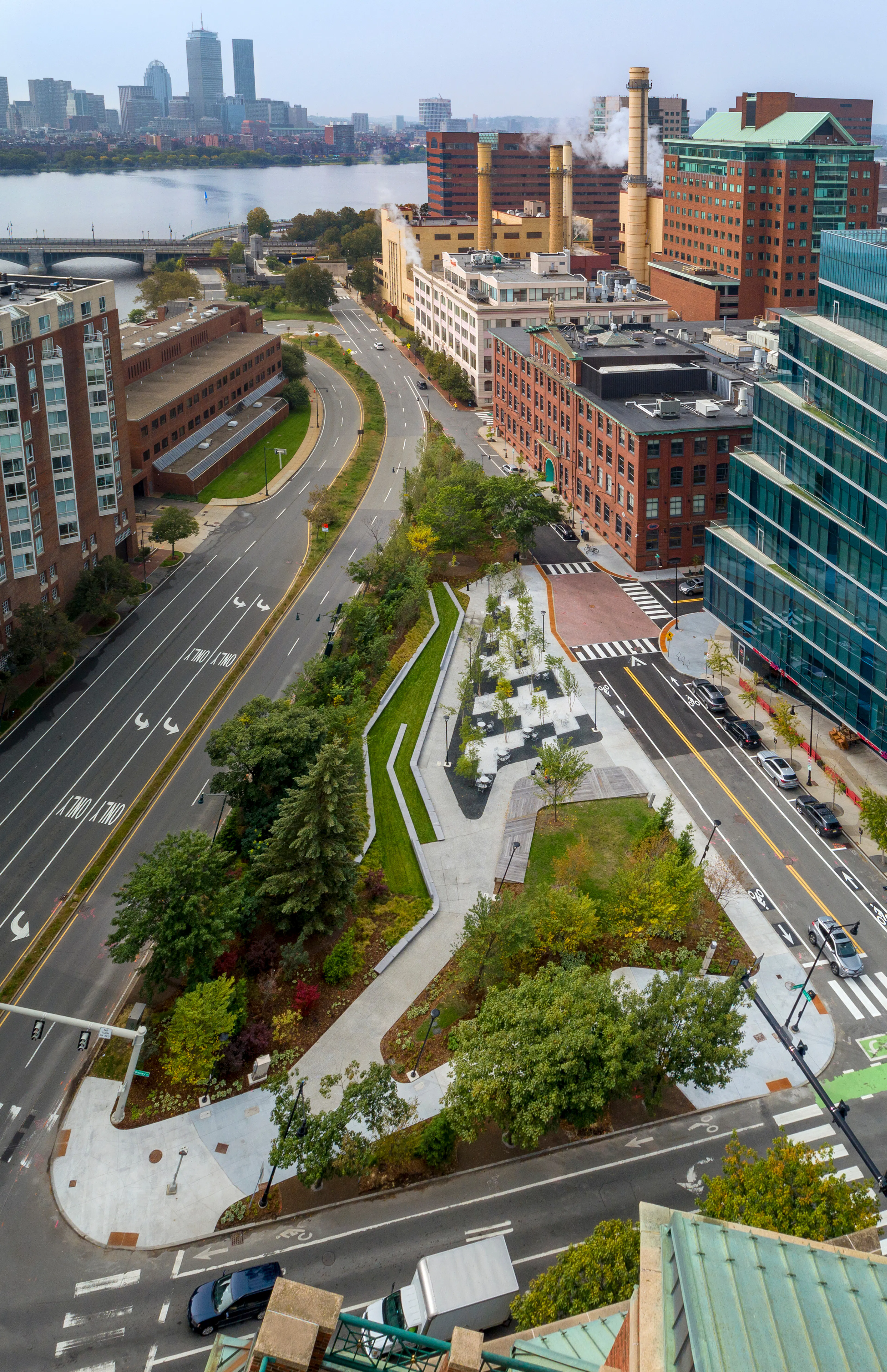 Triangle Park Urban Forest — 2