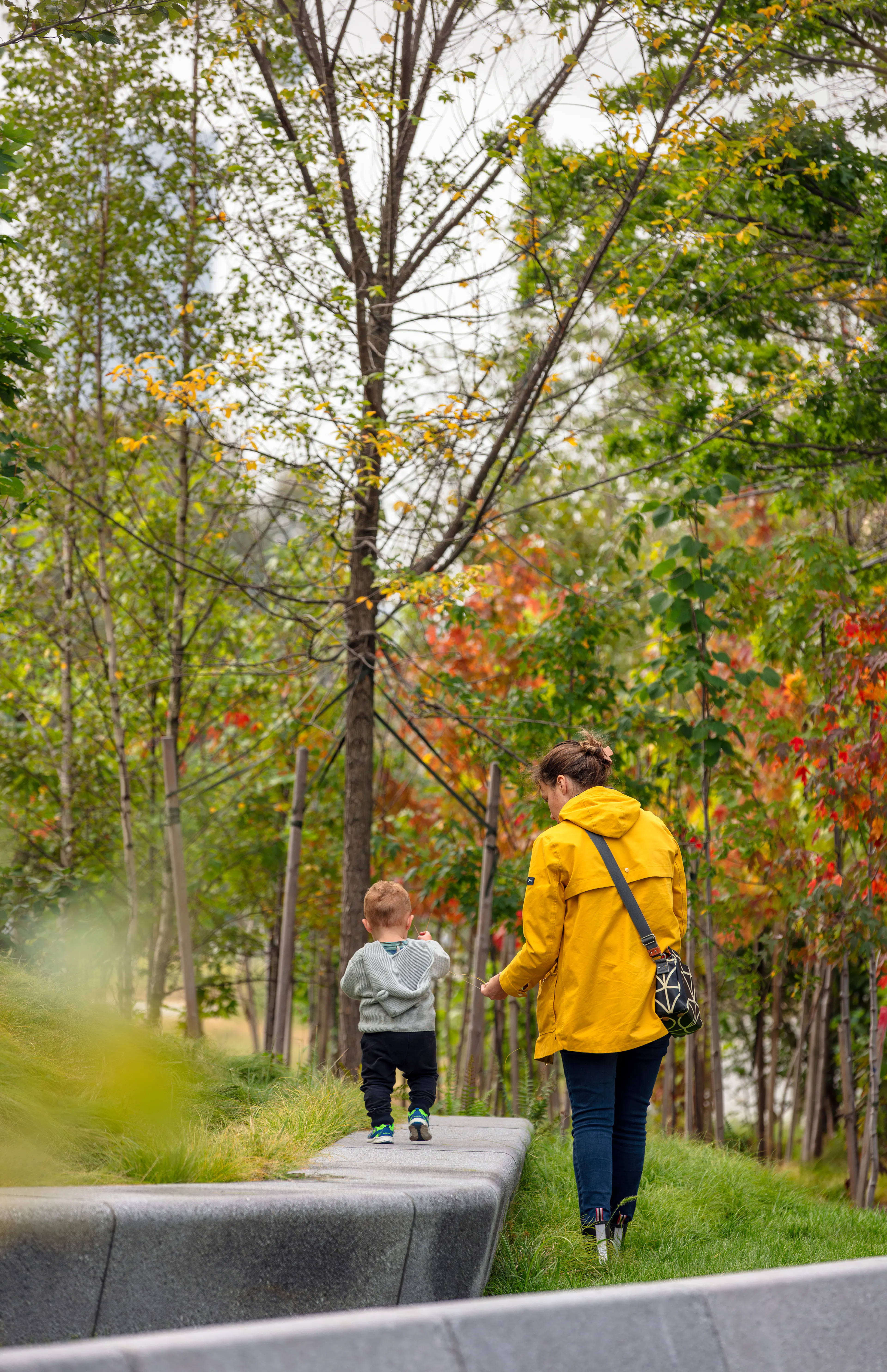 Triangle Park Urban Forest — 3