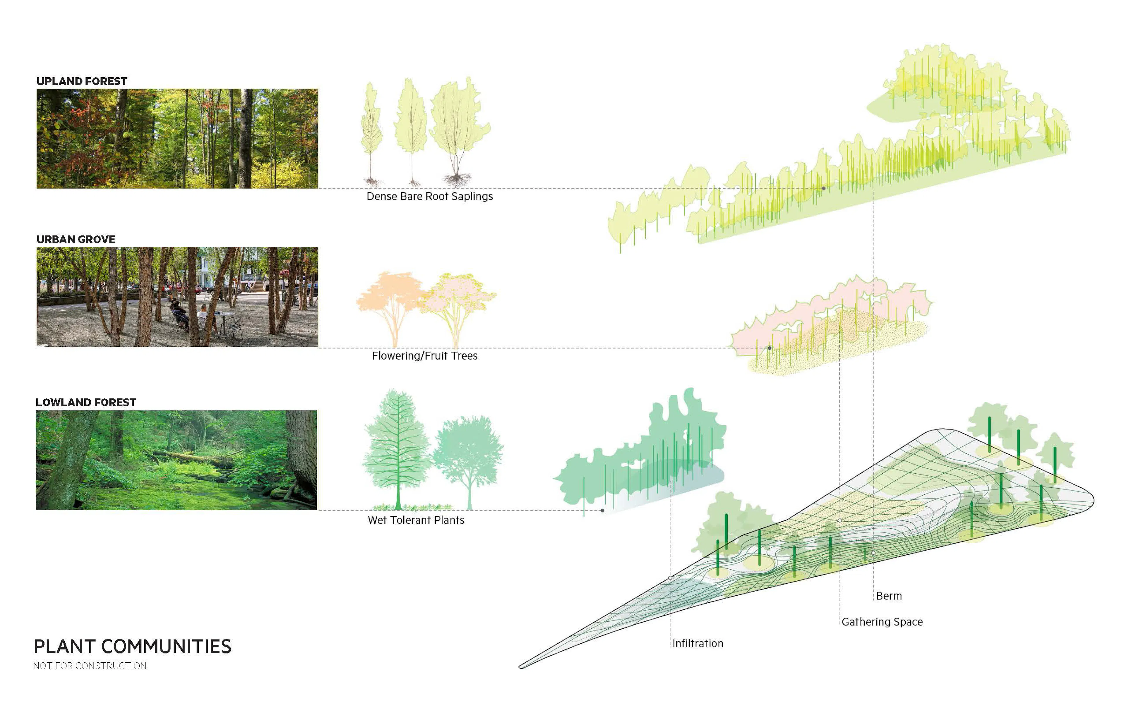 Triangle Park Urban Forest — 4
