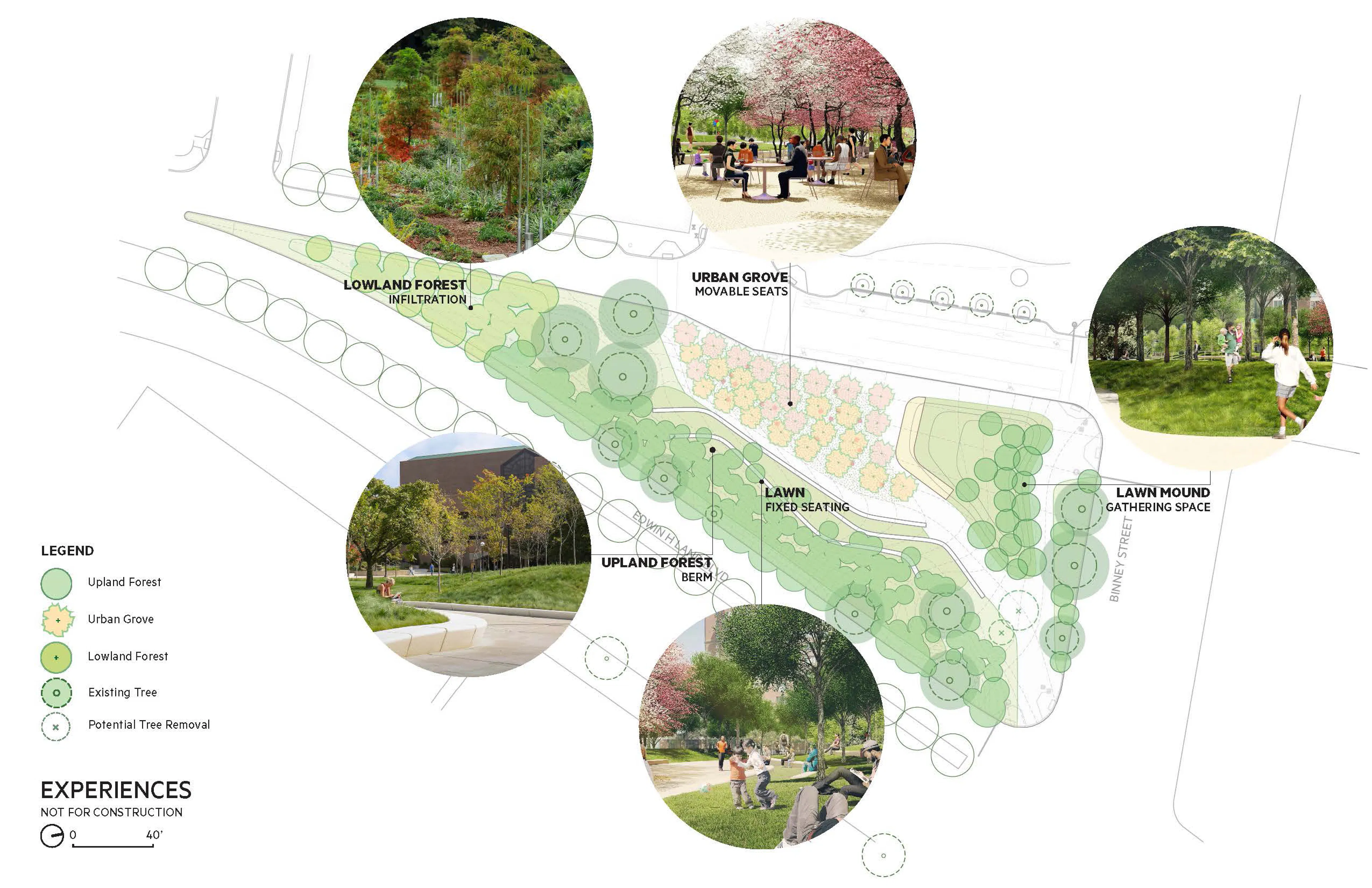 Triangle Park Urban Forest — 5